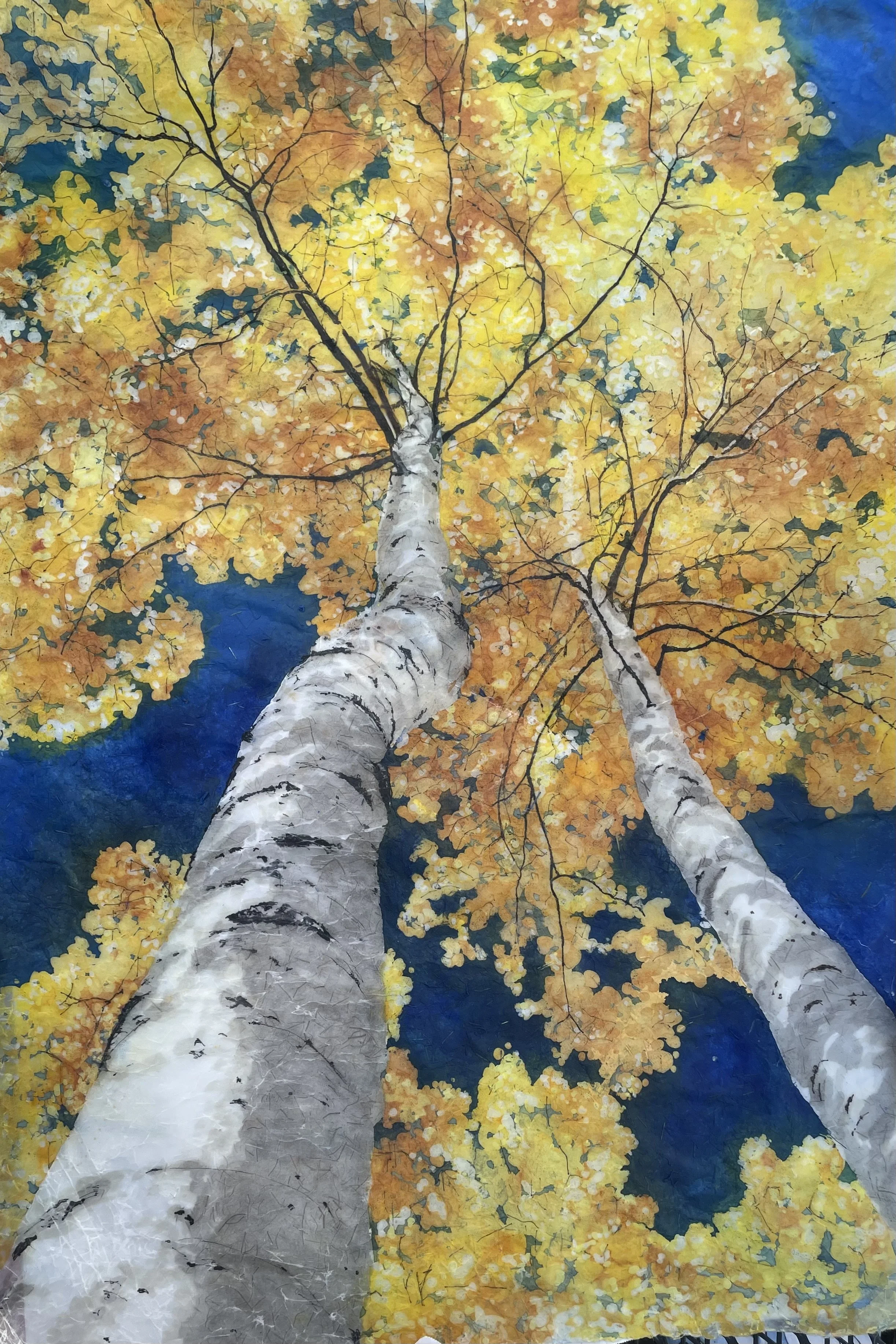 IMG_8586 - Debra Botman.jpeg