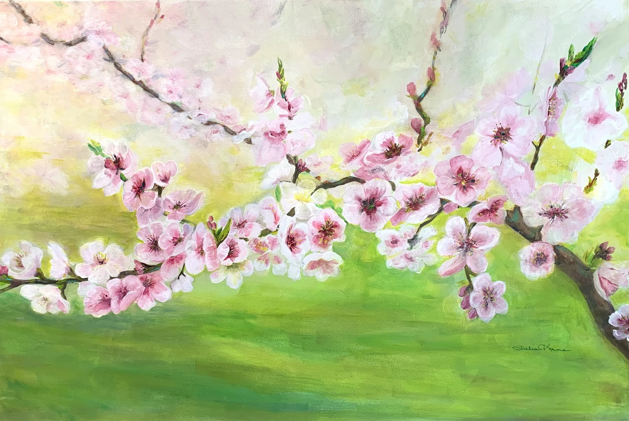 IMG_9429 - Julia Kane.jpeg