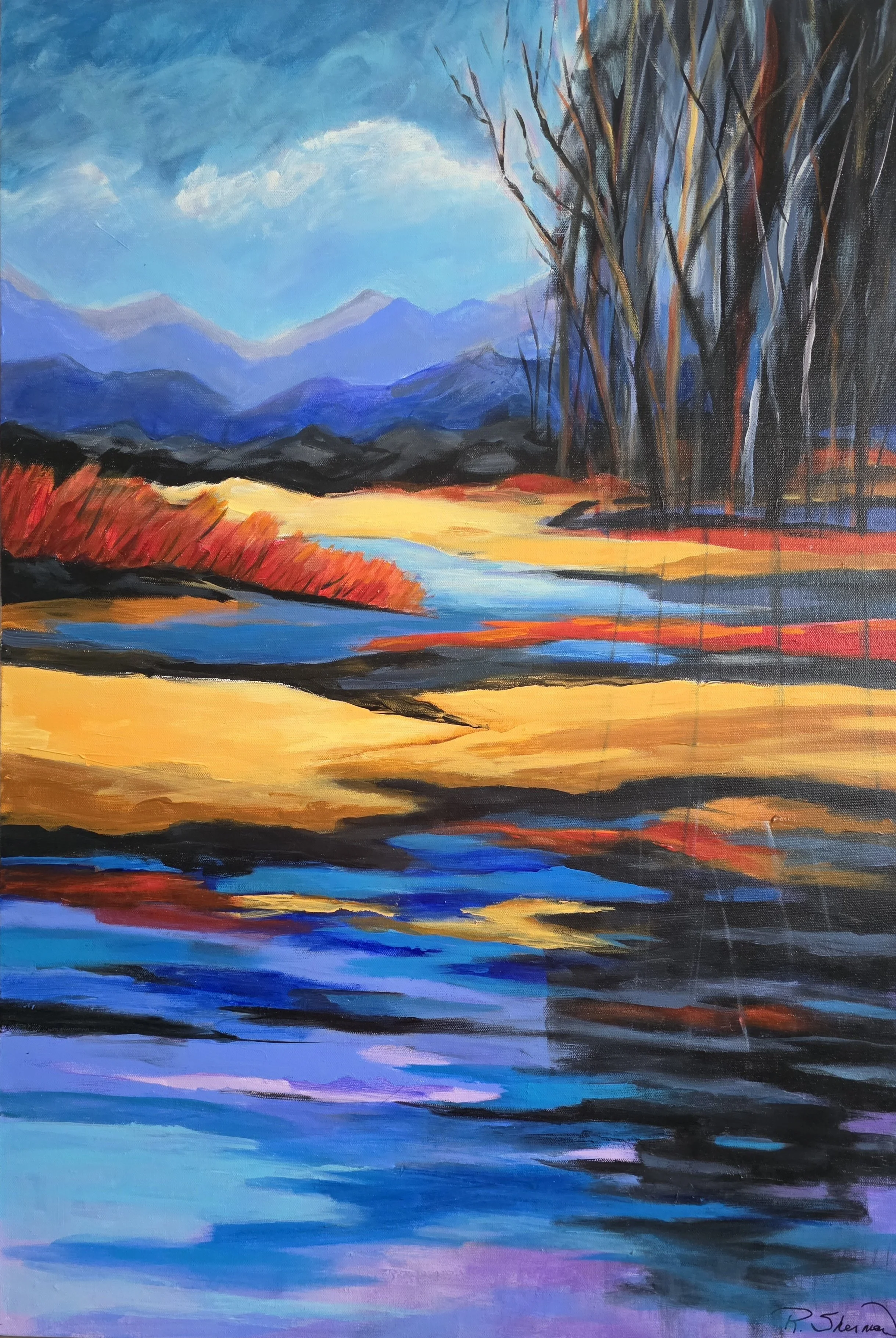 20260211_145011 - Rosie Sherman.jpeg