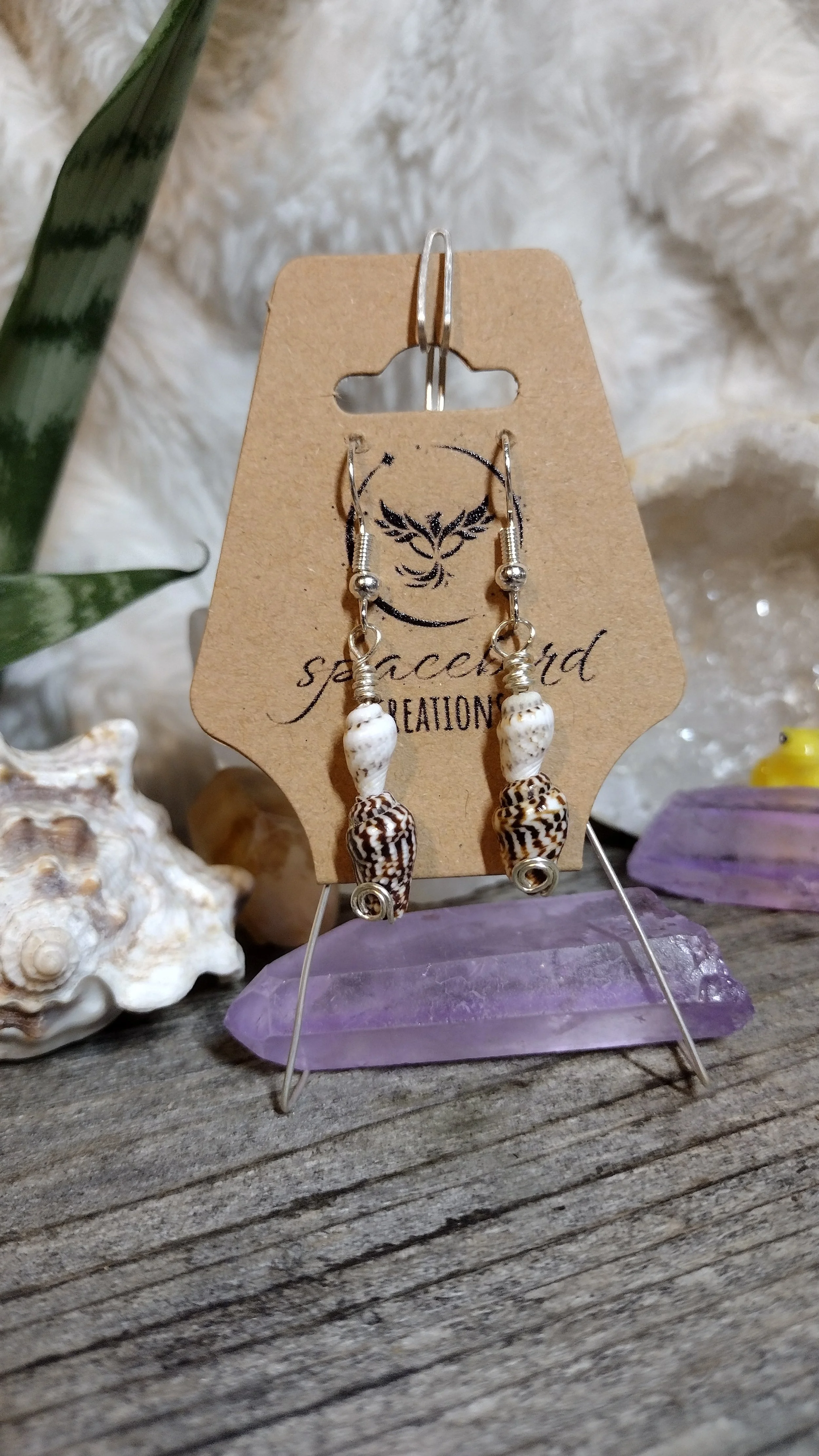 Sea Shell Earrings