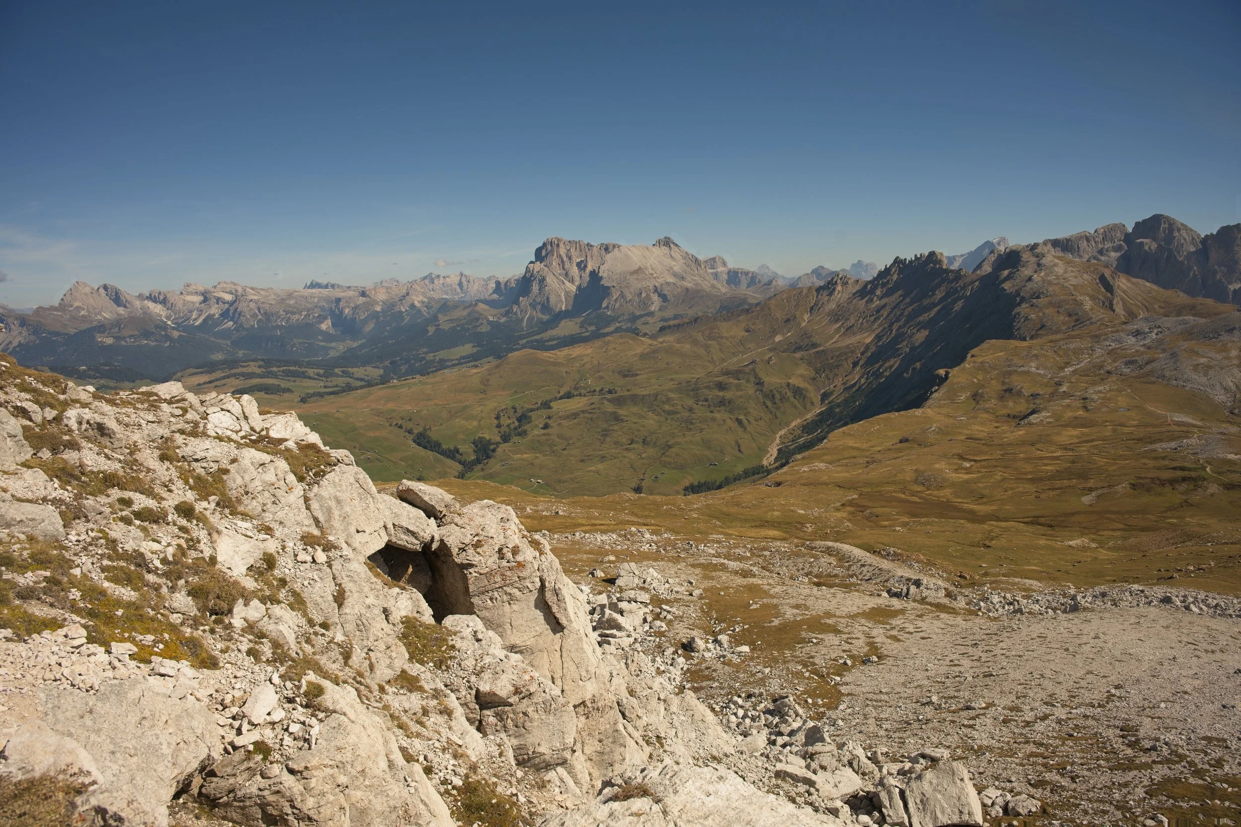 _JJR0428_Focus.jpg