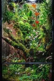 Denver Orchid Society Meeting