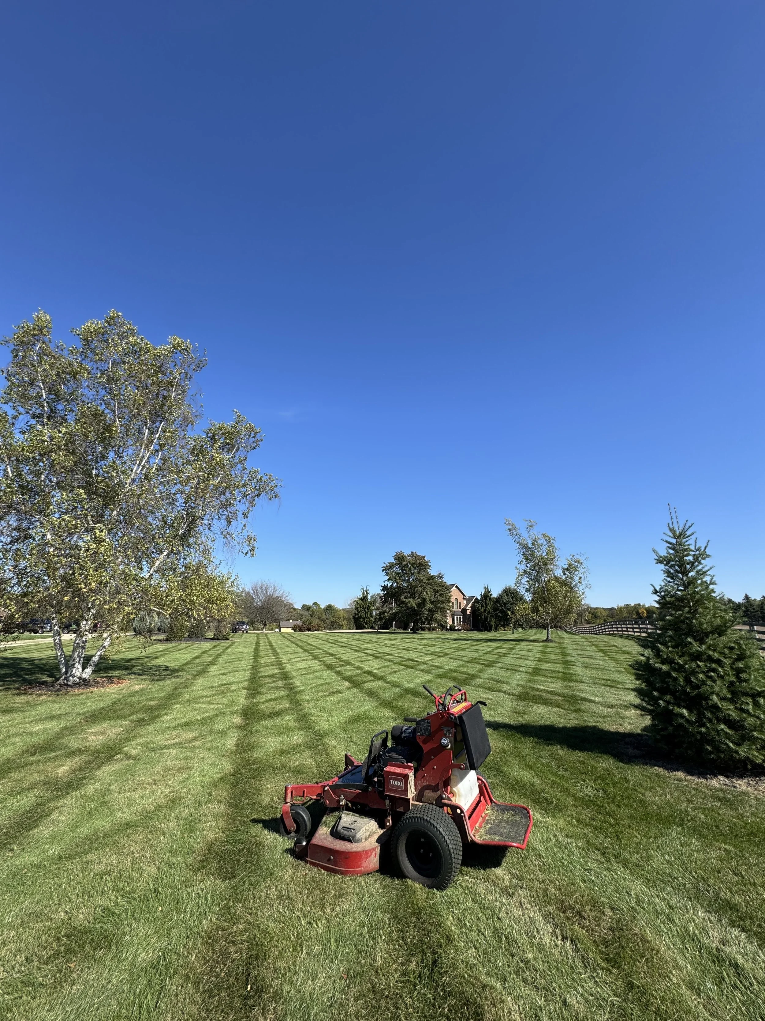 A red riding lawn mower on a freshly mowed green lawn with a clear blue sky and trees in the background.