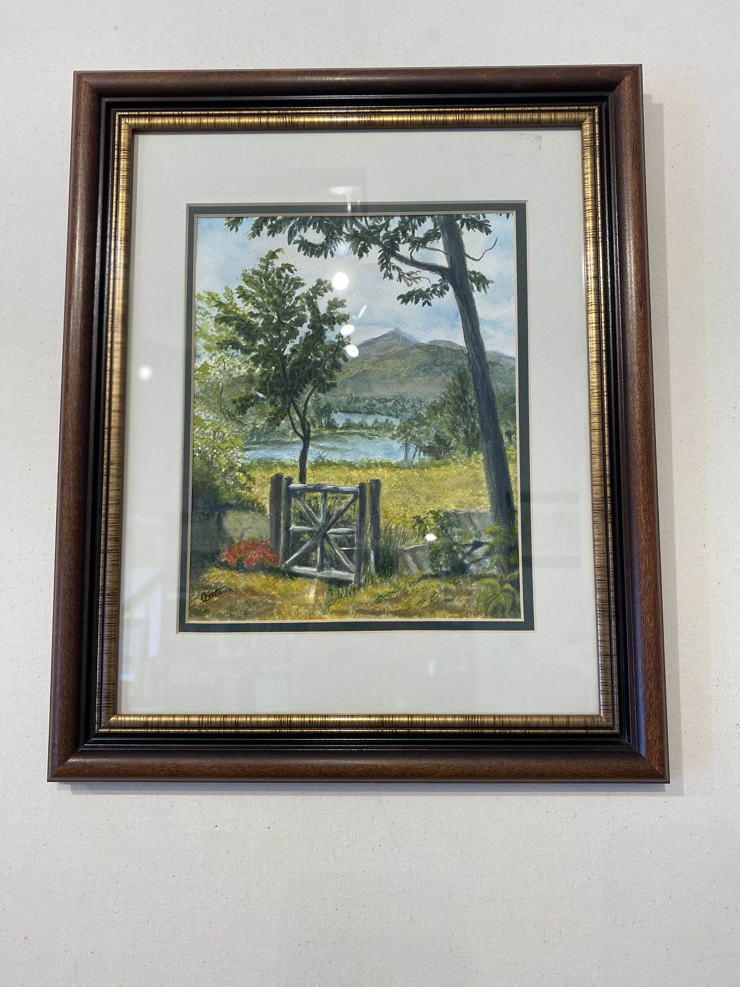 Framed Meadow