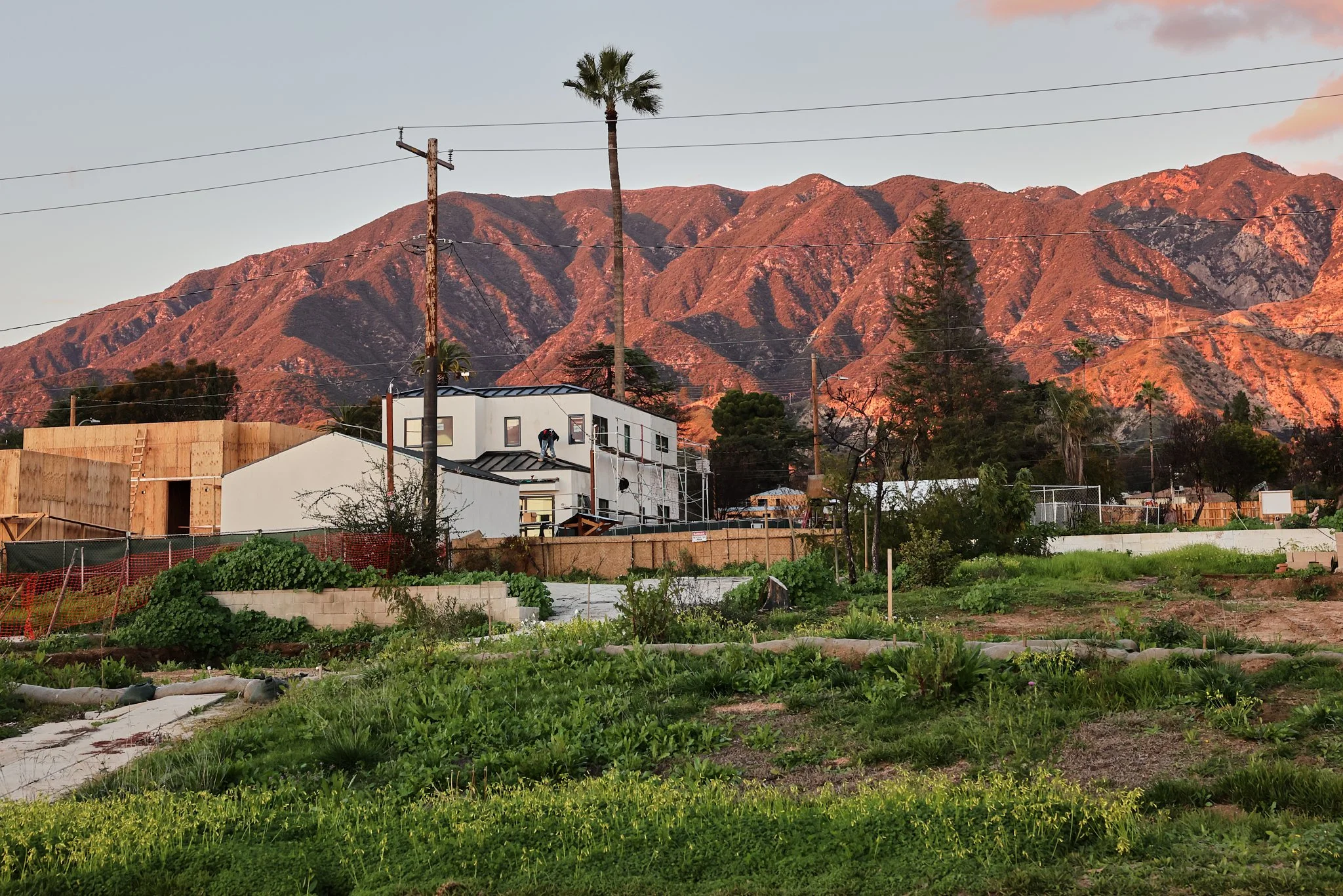 ©JUAN MENDOZA 2025-Candlelight Altadena3733.jpg
