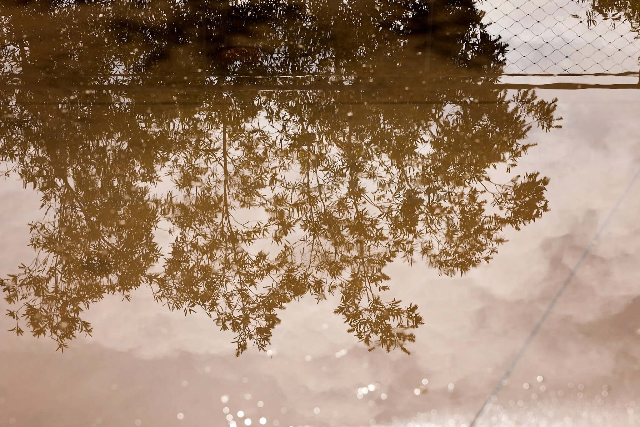 ©JUAN MENDOZA 2025-Light Reflexions3780.jpg