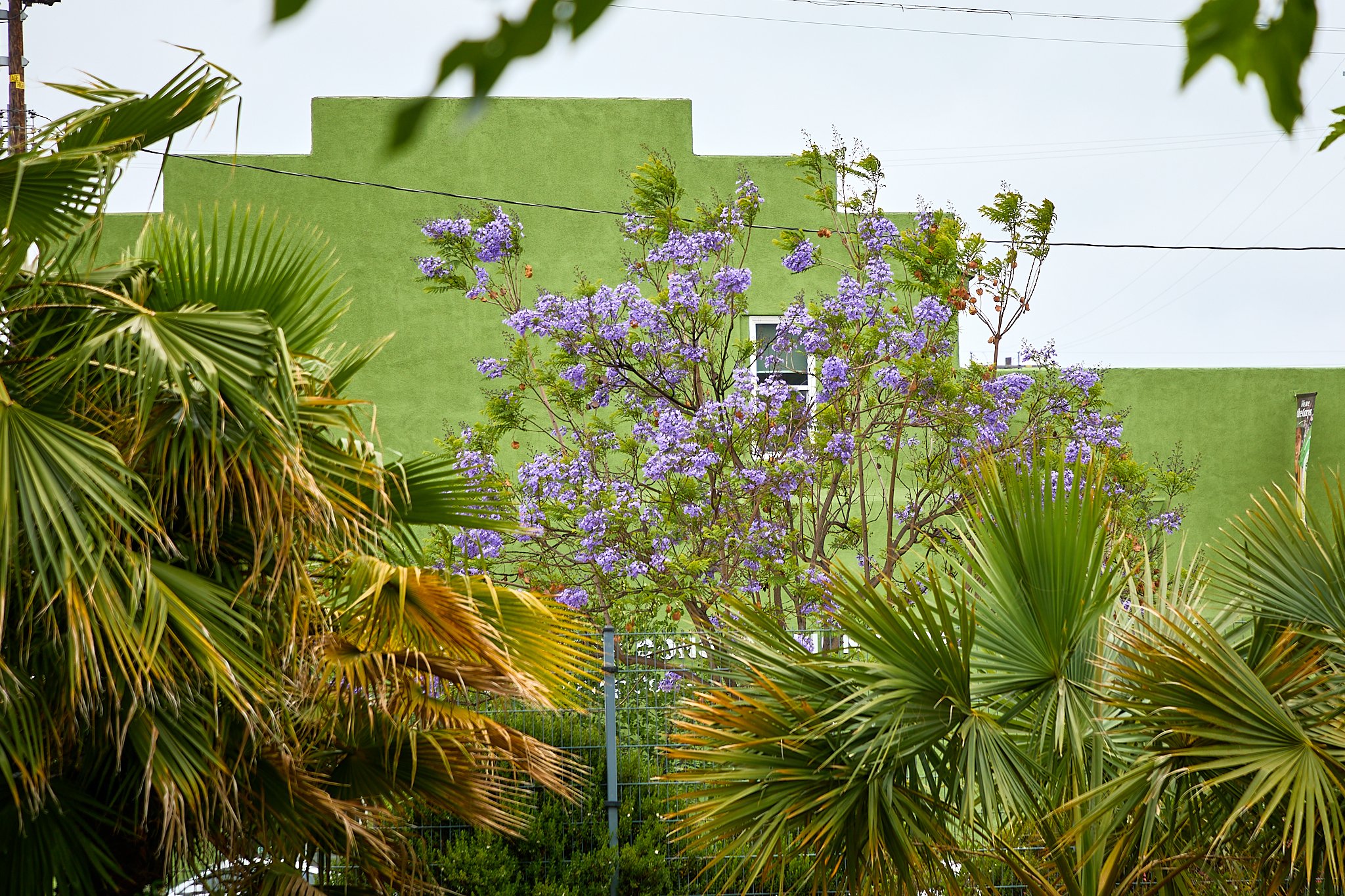 ©JUAN MENDOZA 2025-LA Historic Park1391.jpg