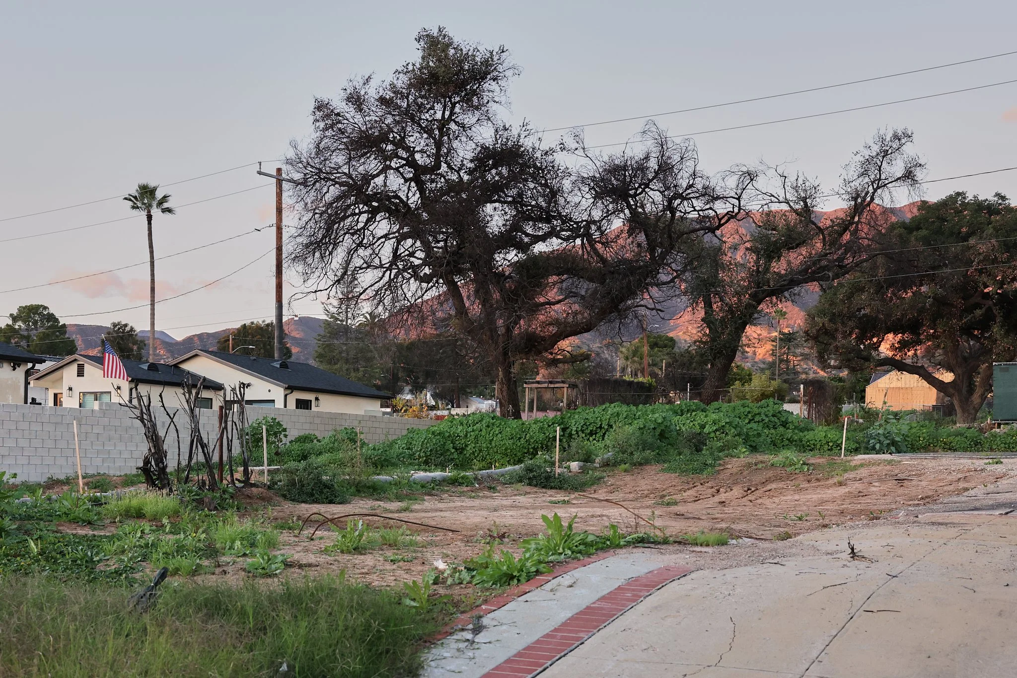©JUAN MENDOZA 2025-Candlelight Altadena3732.jpg