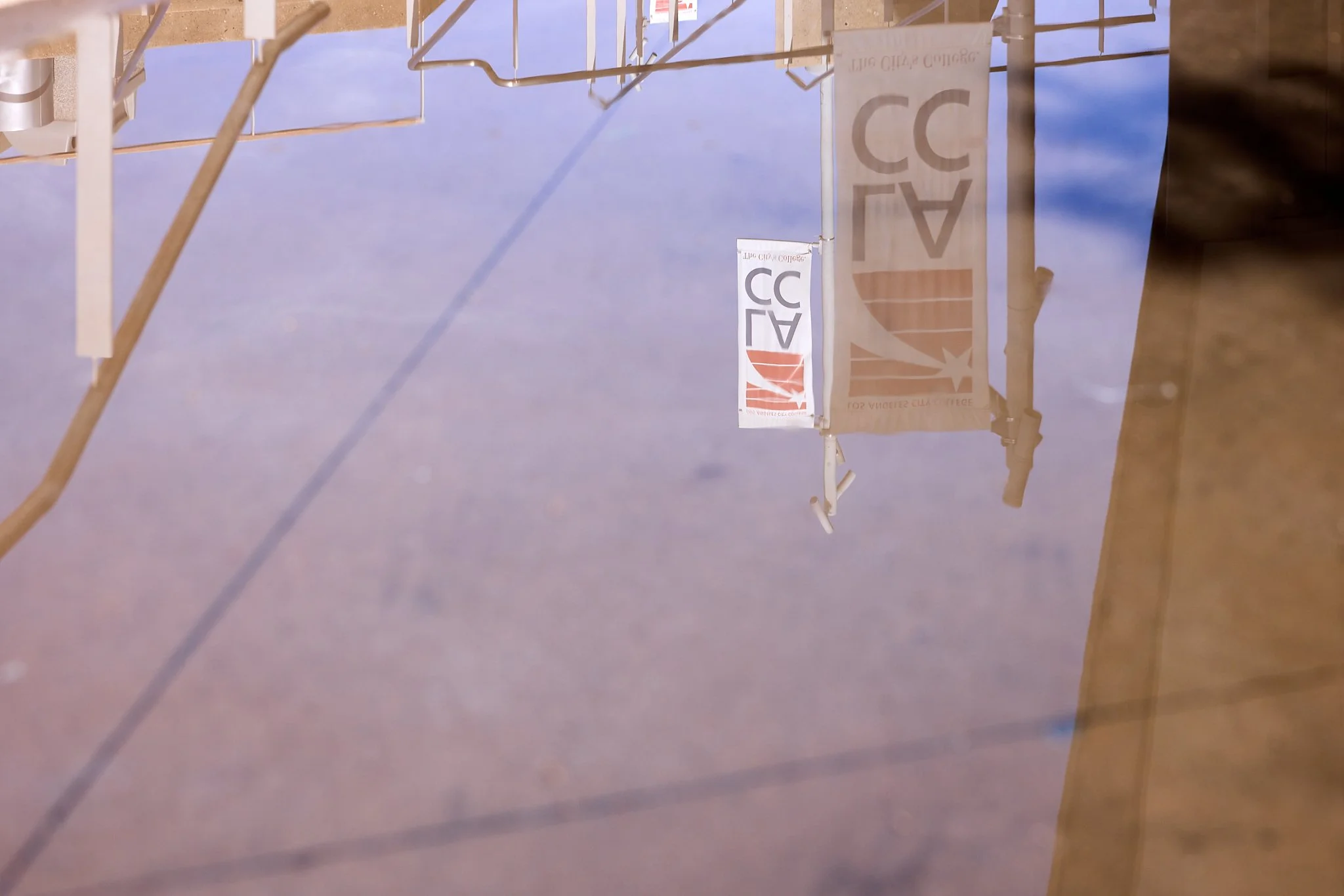 ©JUAN MENDOZA 2025-Light Reflexions3779.jpg