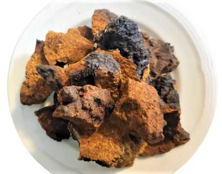 Chaga Mushroom Explained: From Tree to Tincture
