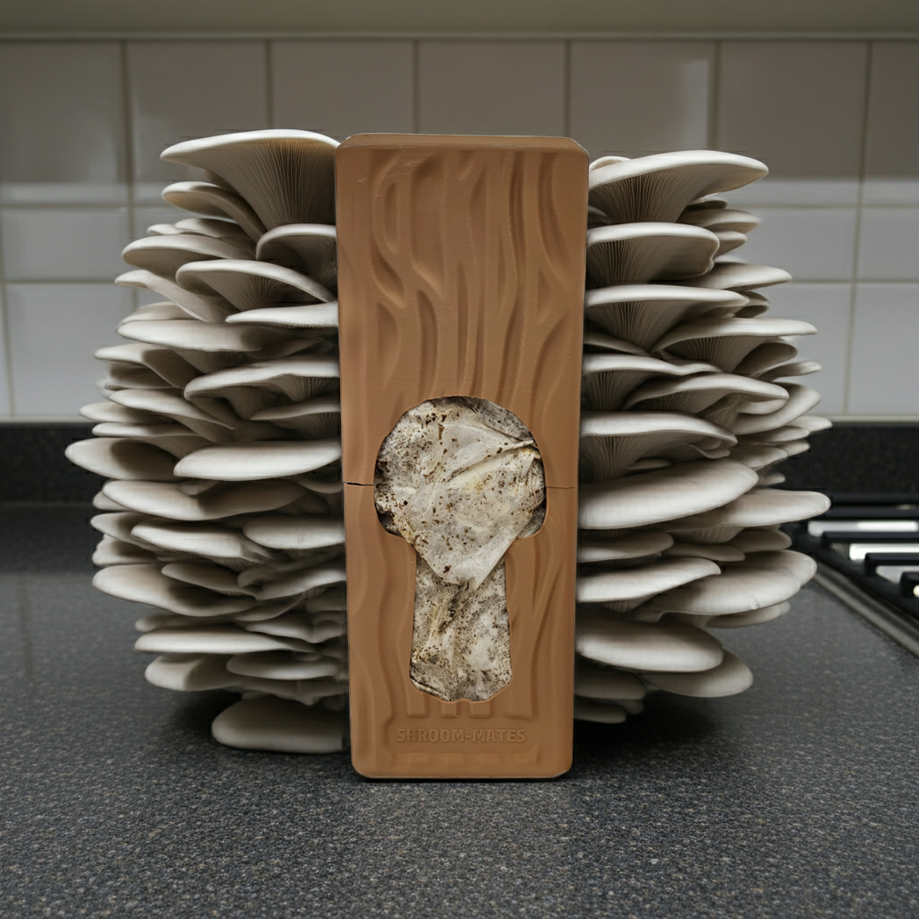 Colonized-Agar-Dish-for-Mushroom-Cultivation-edited_1 (4).png