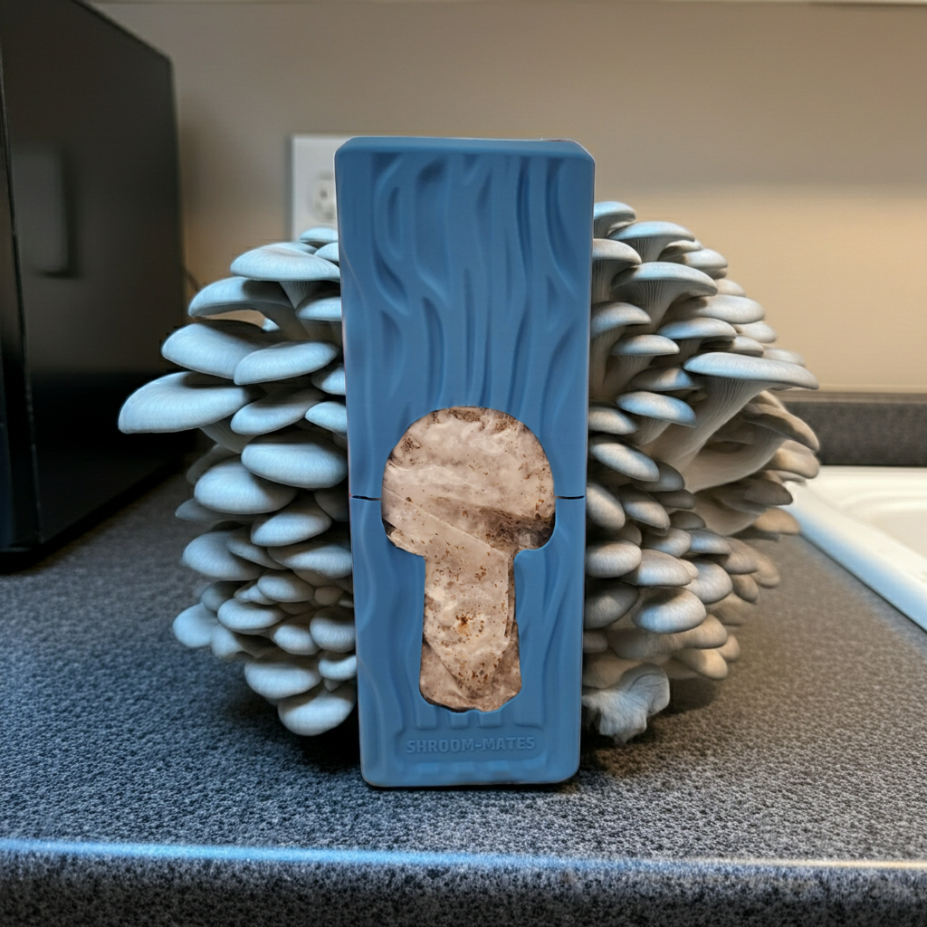 Colonized-Agar-Dish-for-Mushroom-Cultivation-edited_2 (3).png