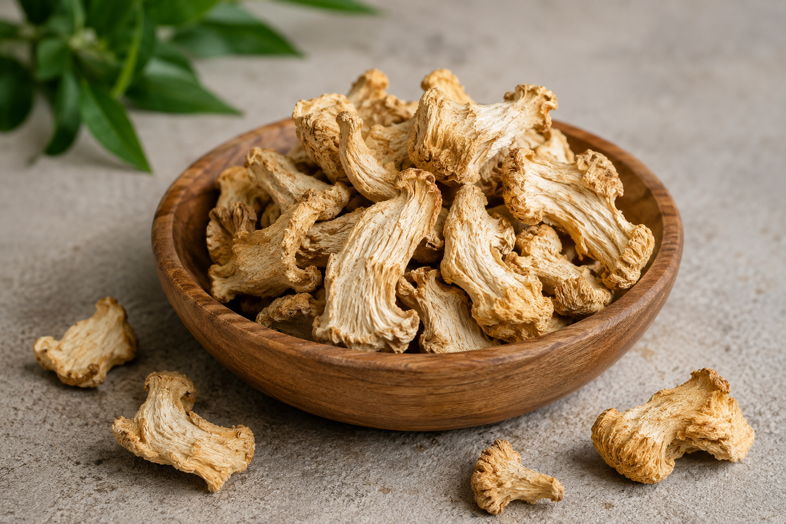 Organic Dried Lion's Mane Mushrooms | Whole Culinary Pieces
