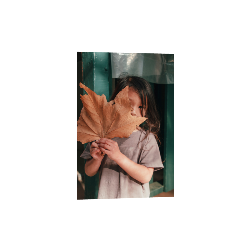 ptq_1_3_0_0_3648_5472_0_false_ffffff_0_0_.png