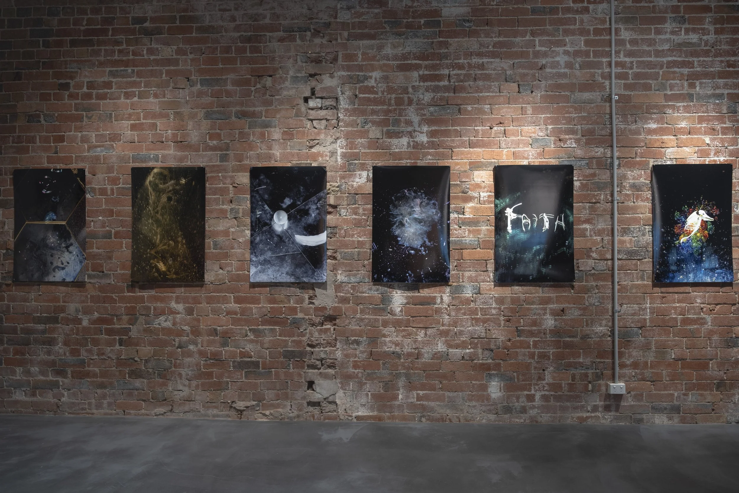 Jessie Turner 'How Animals See Death'.  Image credit: Safak Gurboga, 2026