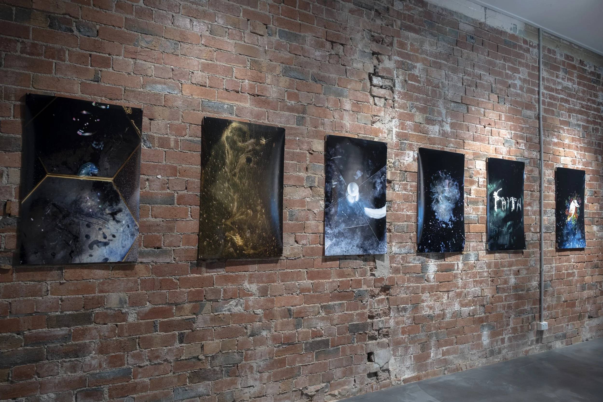 Jessie Turner 'How Animals See Death'.  Image credit: Safak Gurboga, 2026