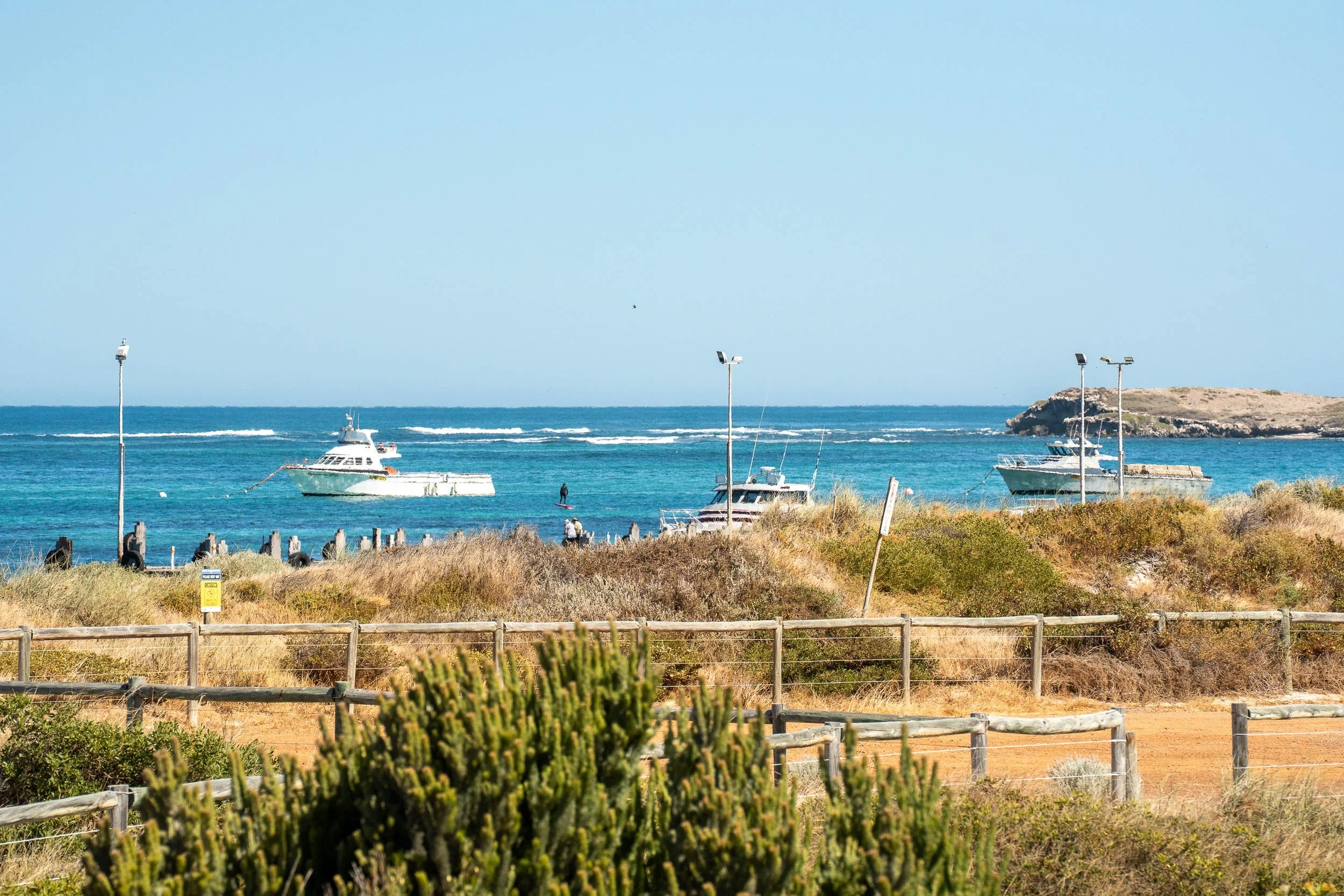 Ocean bay with moored boats viewed across coastal vegetation.