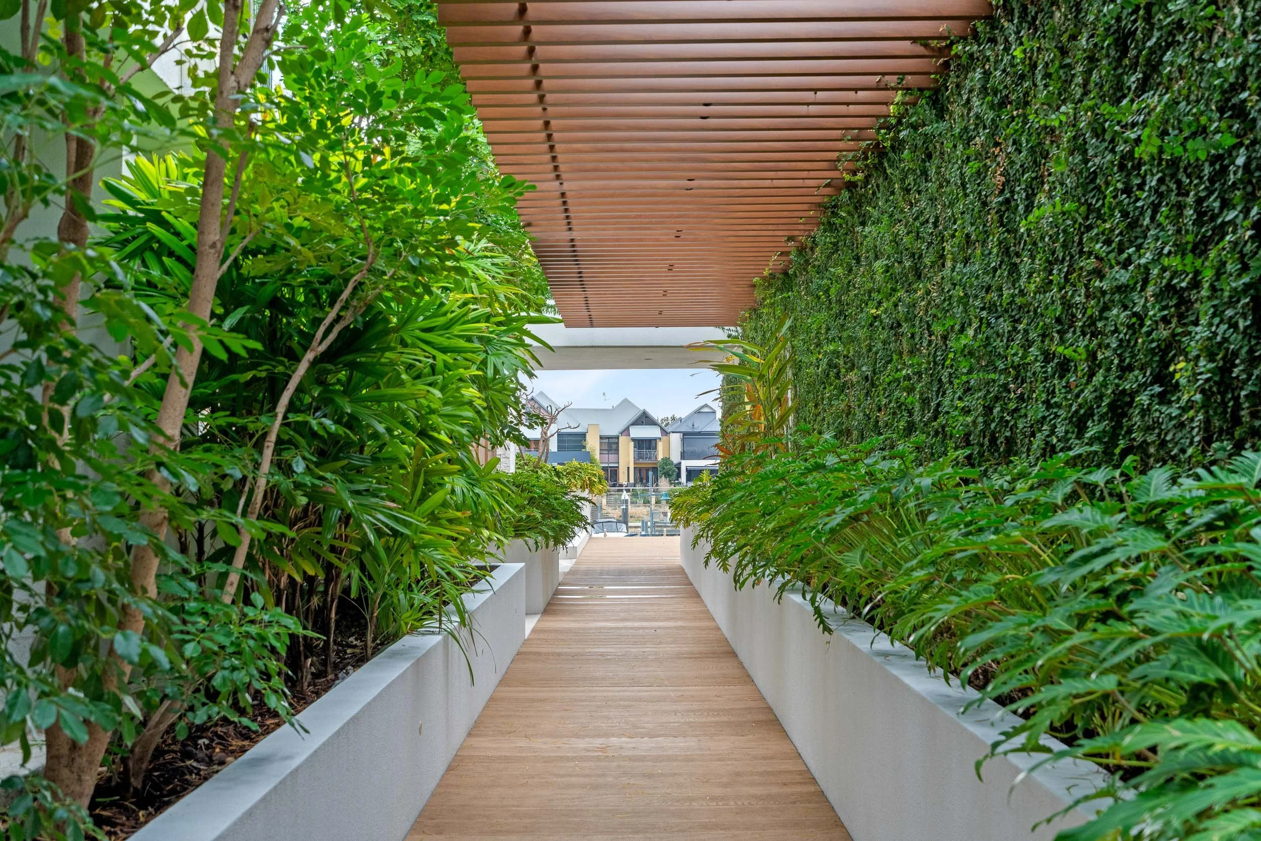 Covered walkway with timber decking, an overhead pergola and dense green planting.