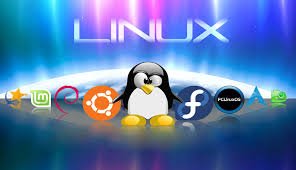 linux-support.jpeg