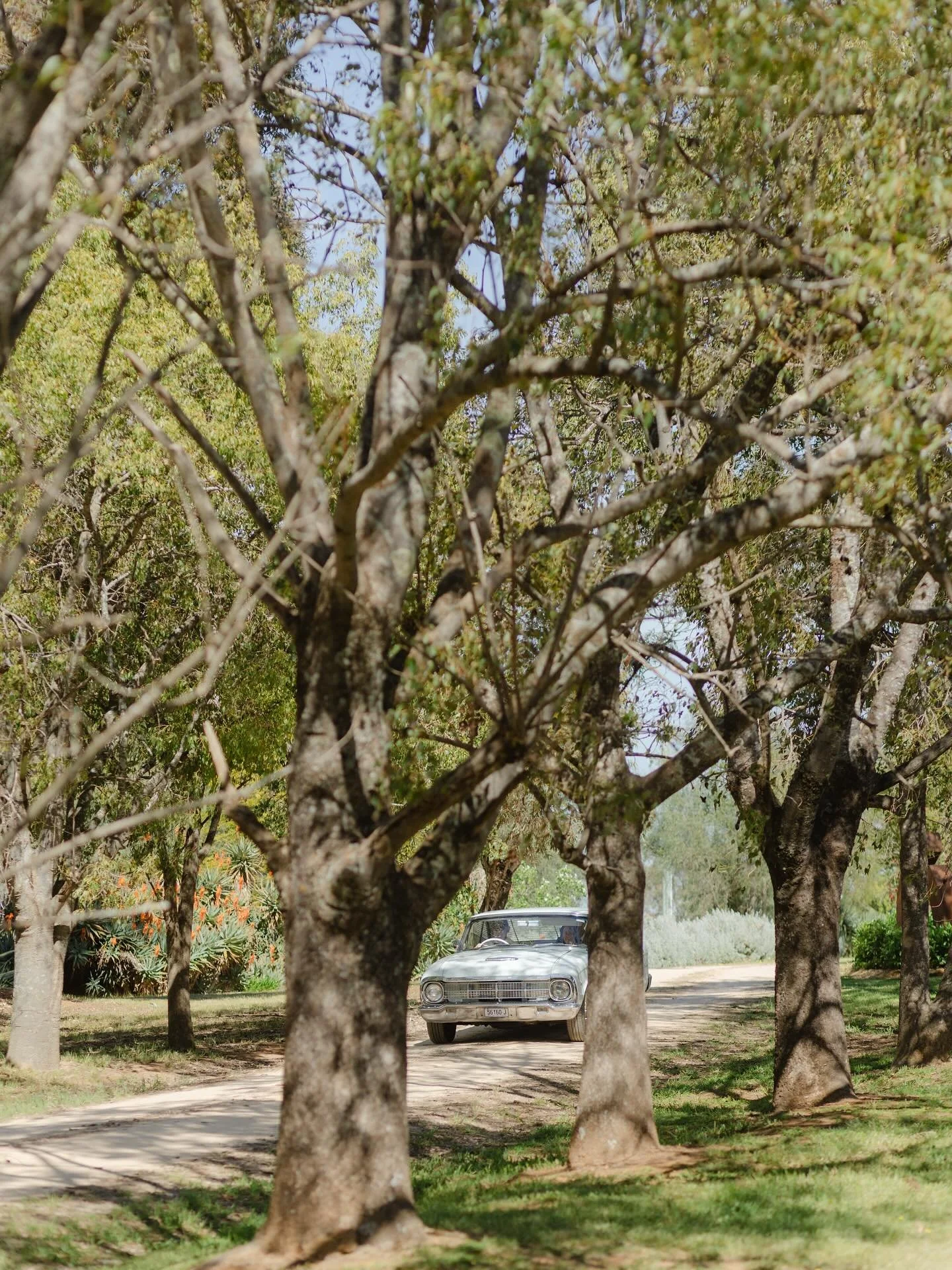 Here comes the bride 💕