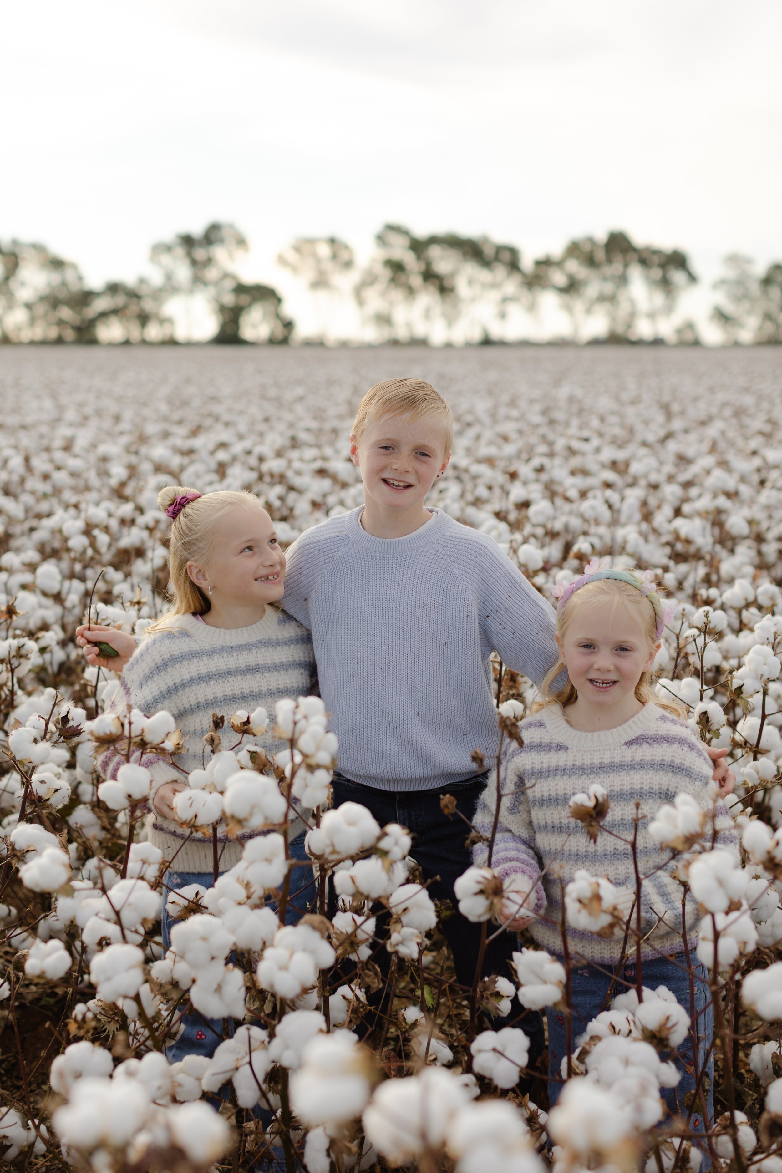 O'Connor Fam Cotton 26-101.jpg