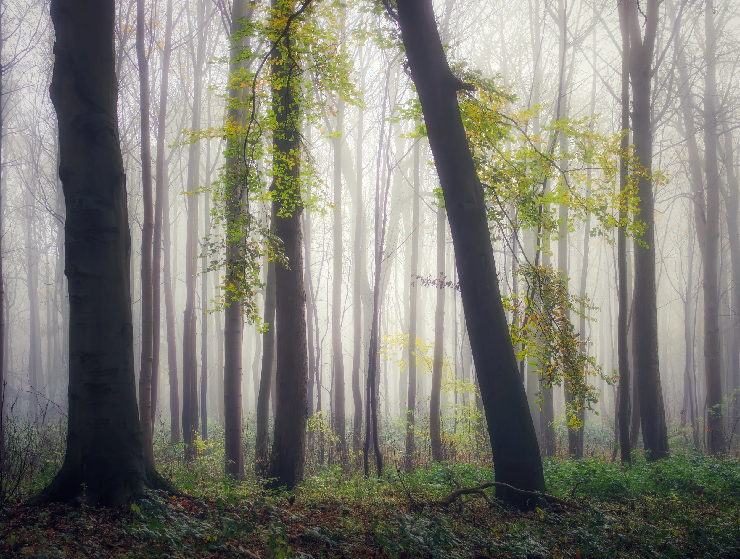 "Blinded By The Light"