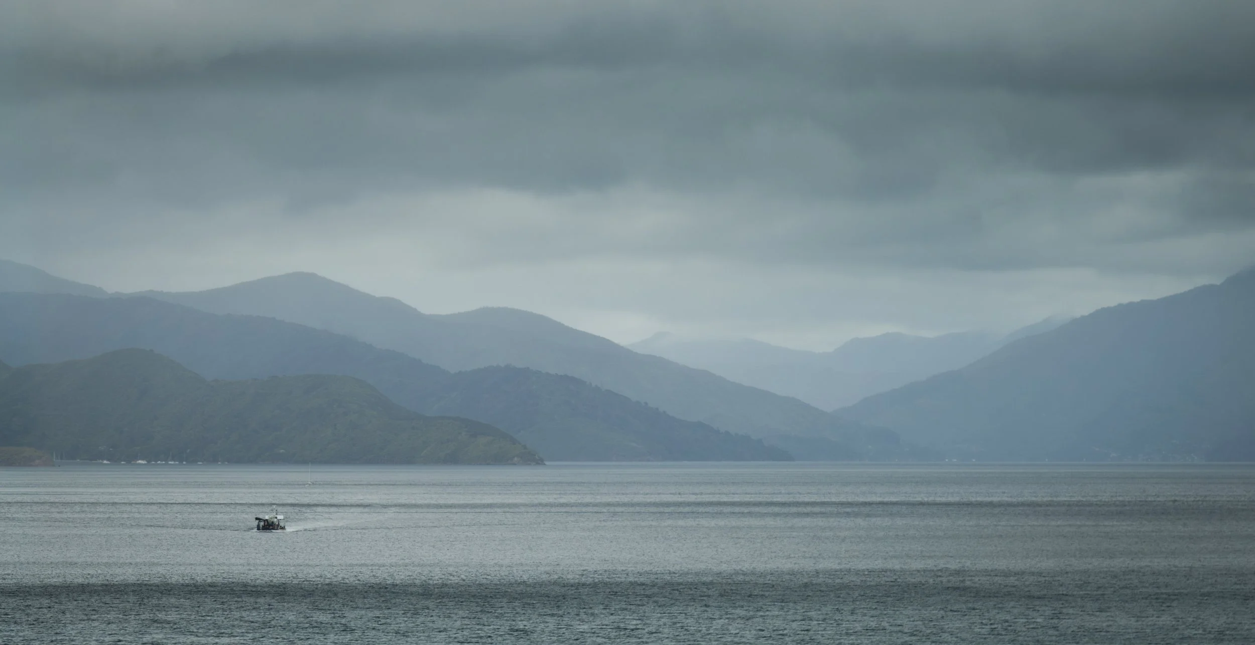 Marlborough Sound, Cook Strait, New Zealand