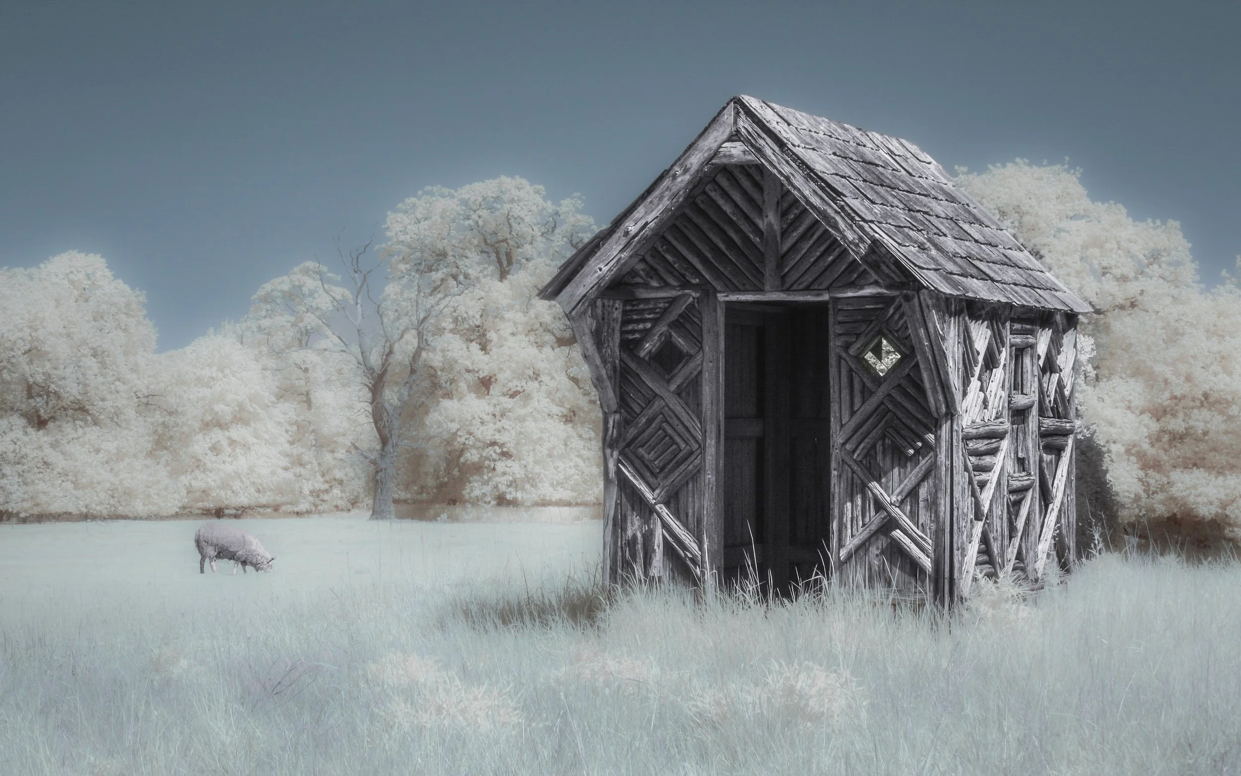 "The Shack"