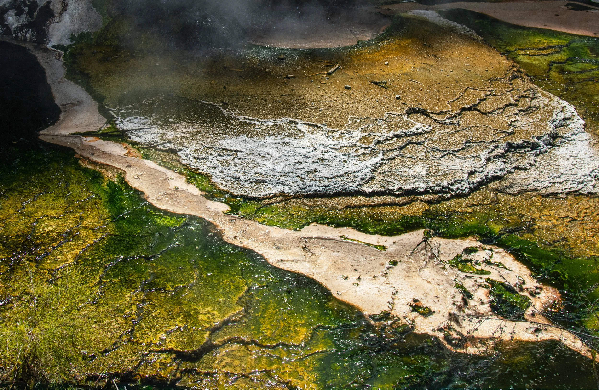 "Abstract #2 - Waimangu Volcanic Valley, NZ"