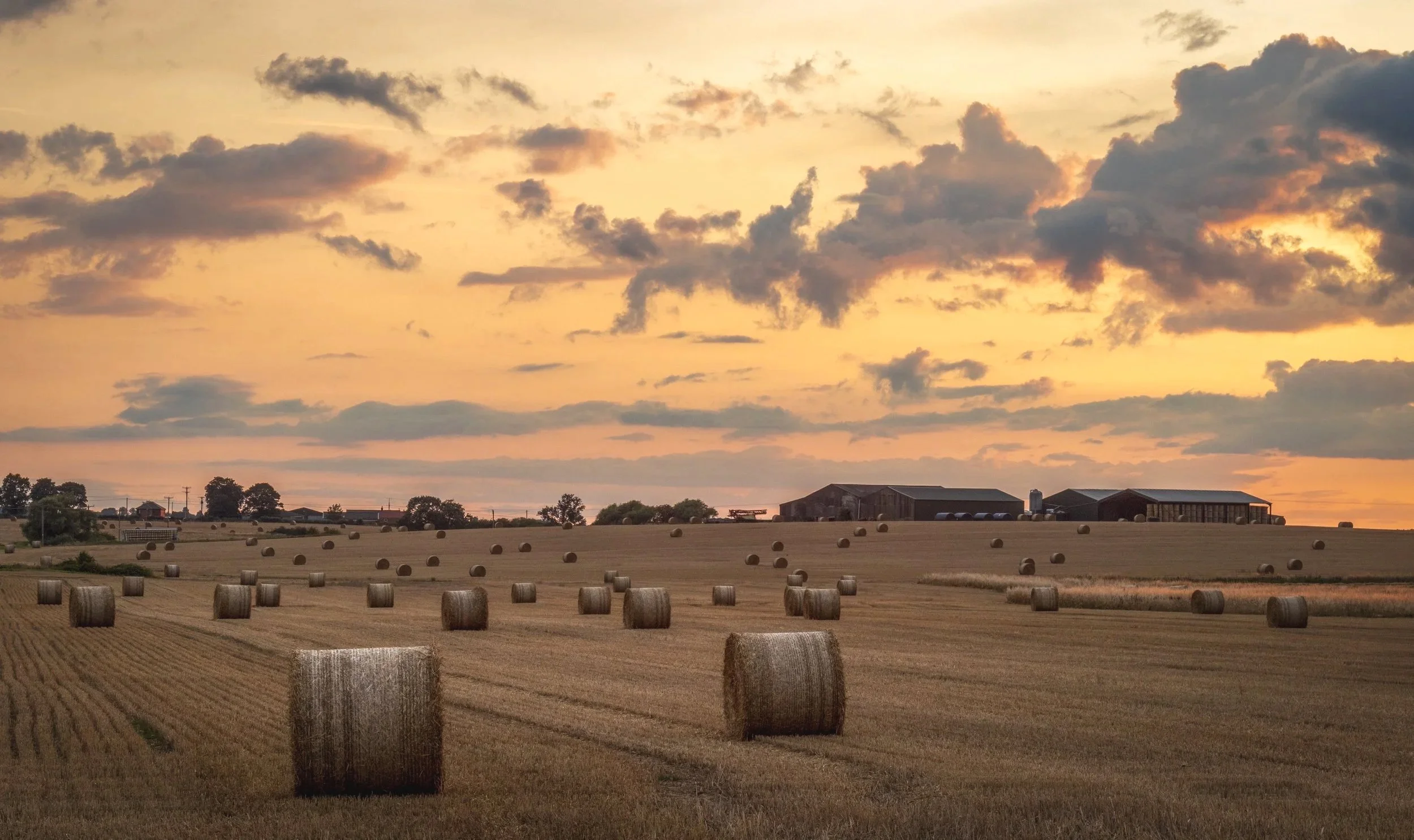 "Grayingham Prairies " #32