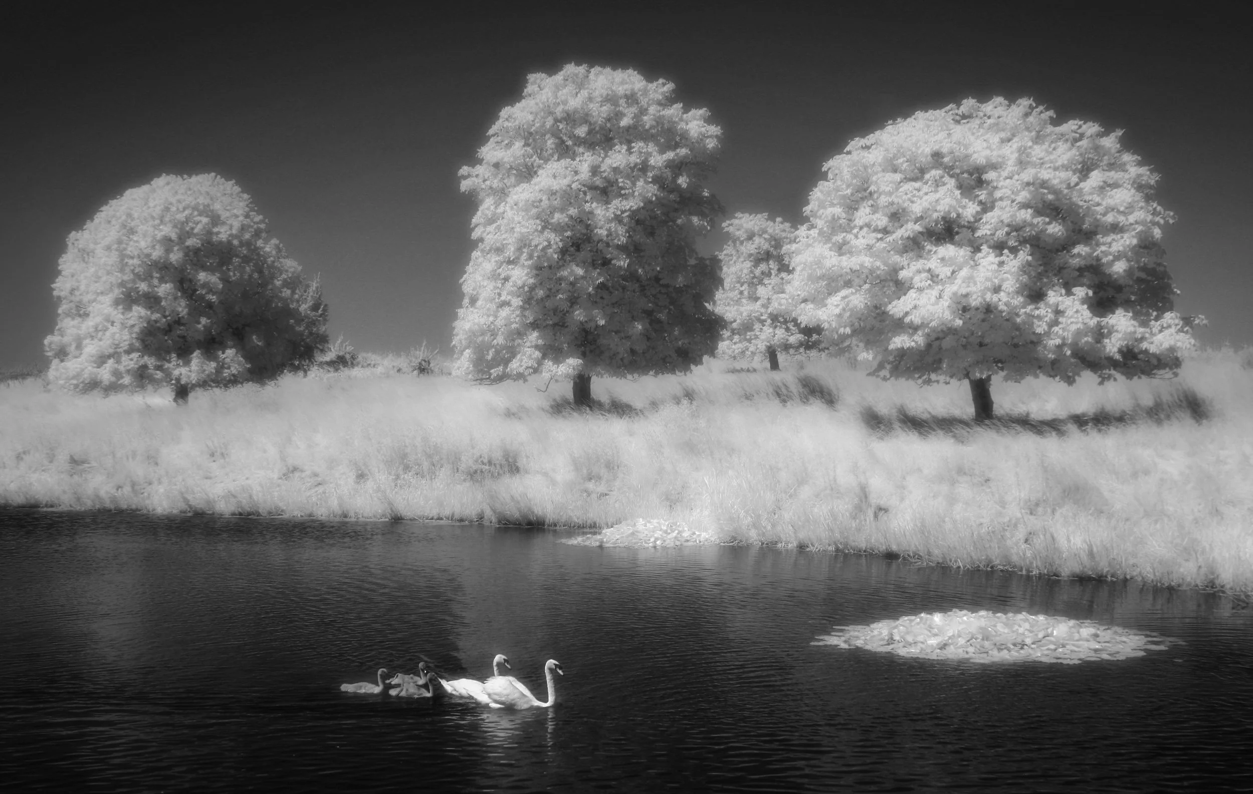 "Fillingham Lake"