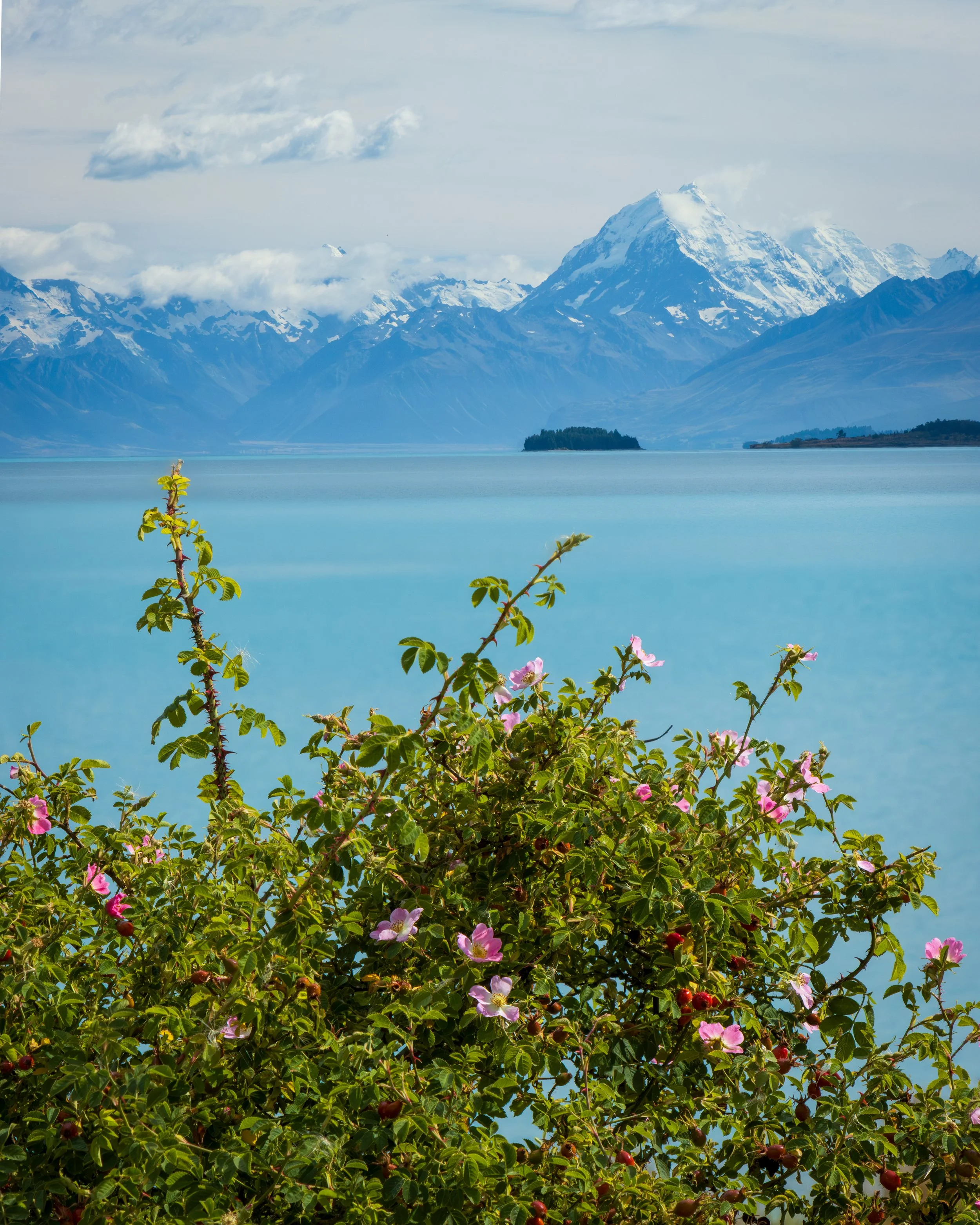 Lake Pukaki, New Zealand