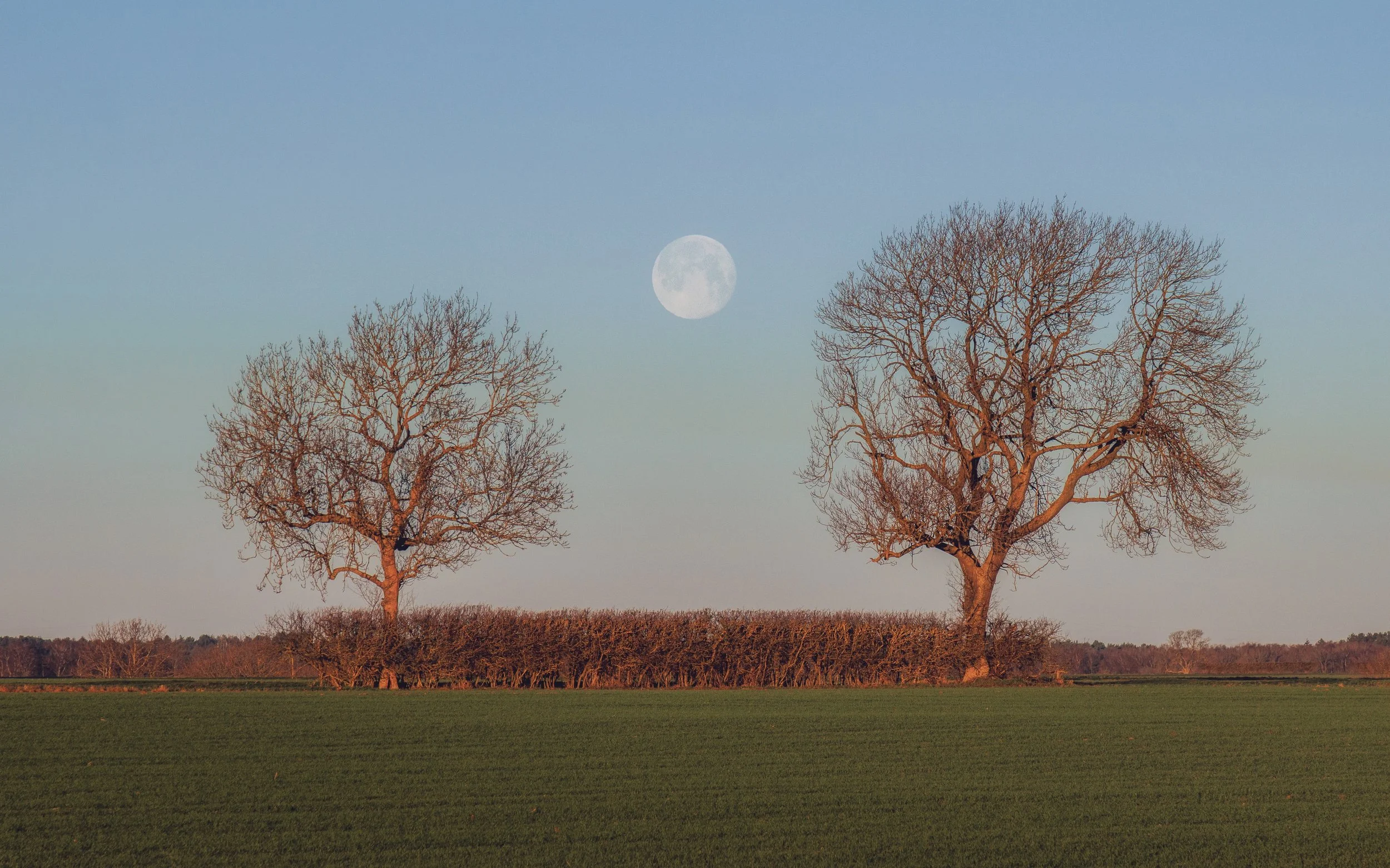"Wolf Moon Moonset" 4 January 2026