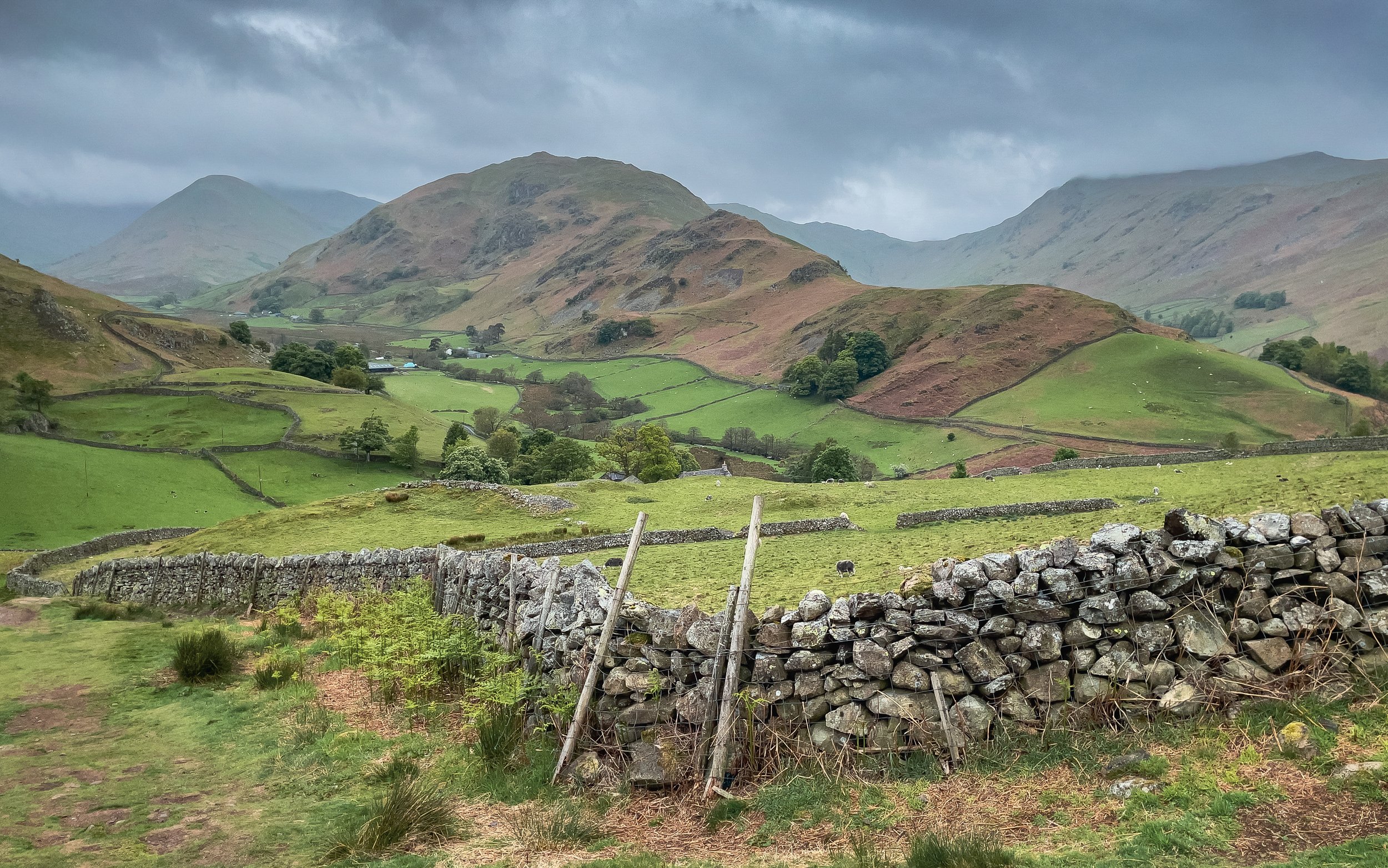 "Beda Fell from Hallin Fell" #1 