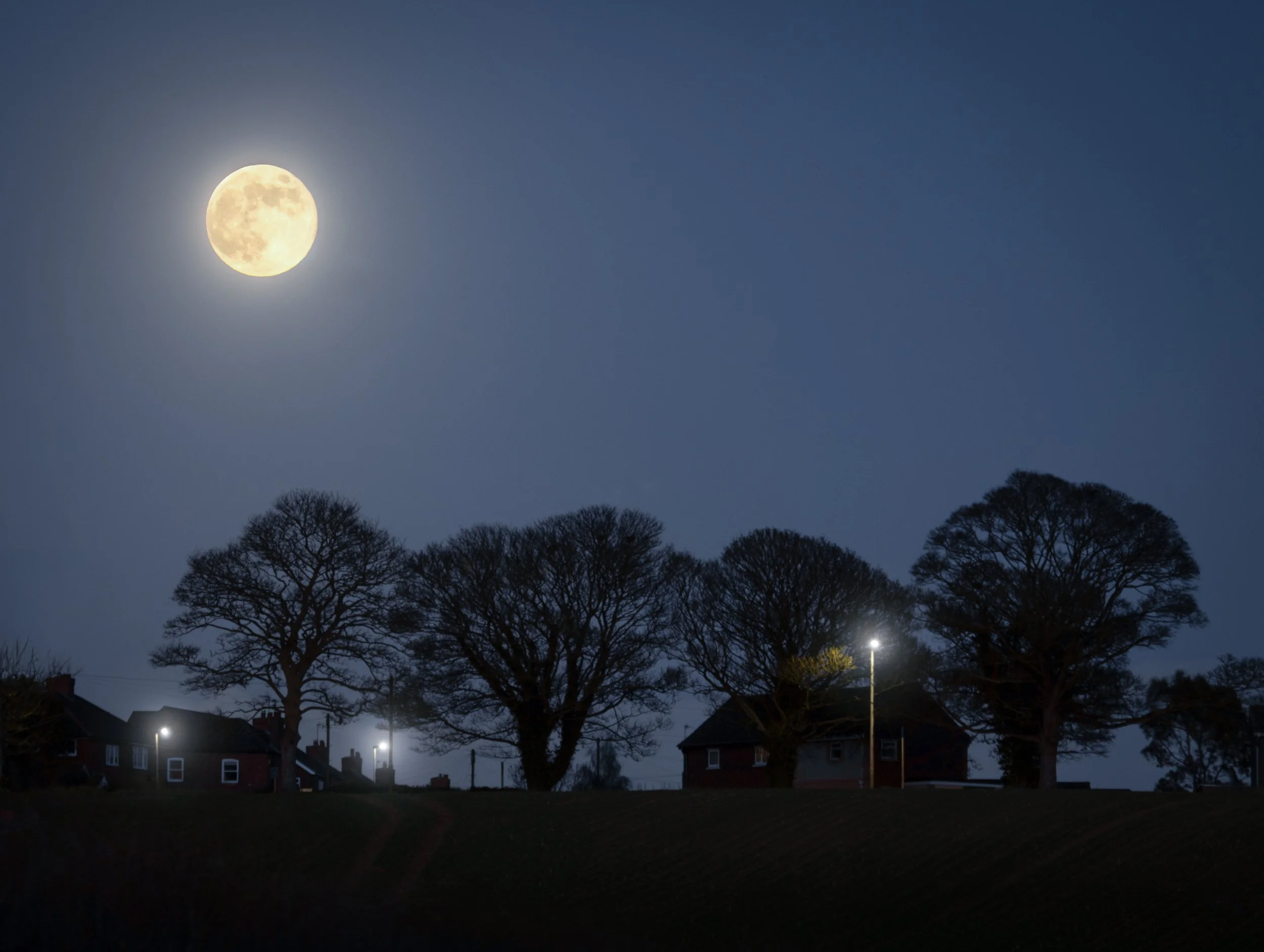 "Wolf Supermoon" 3 January 2026 