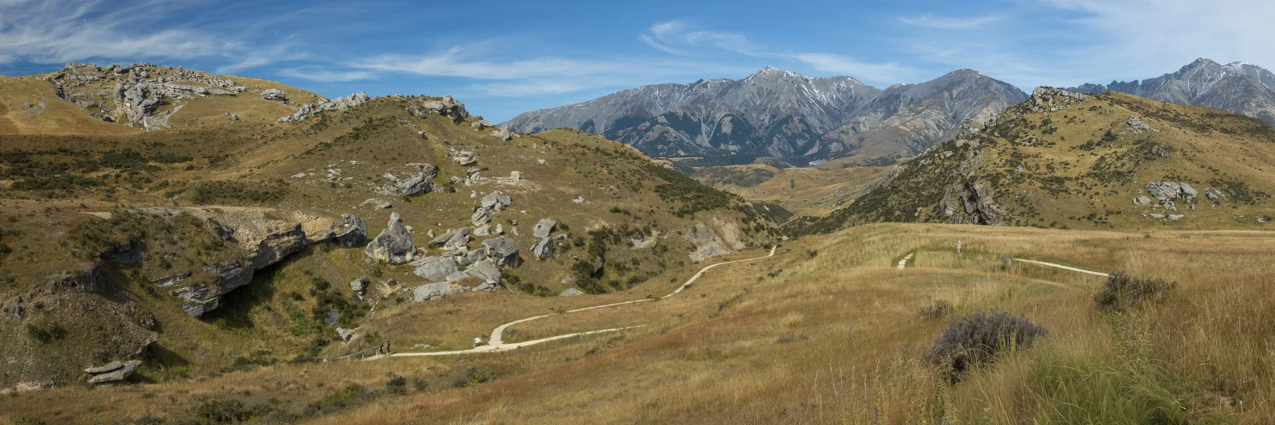 Flock Station #3, New Zealand
