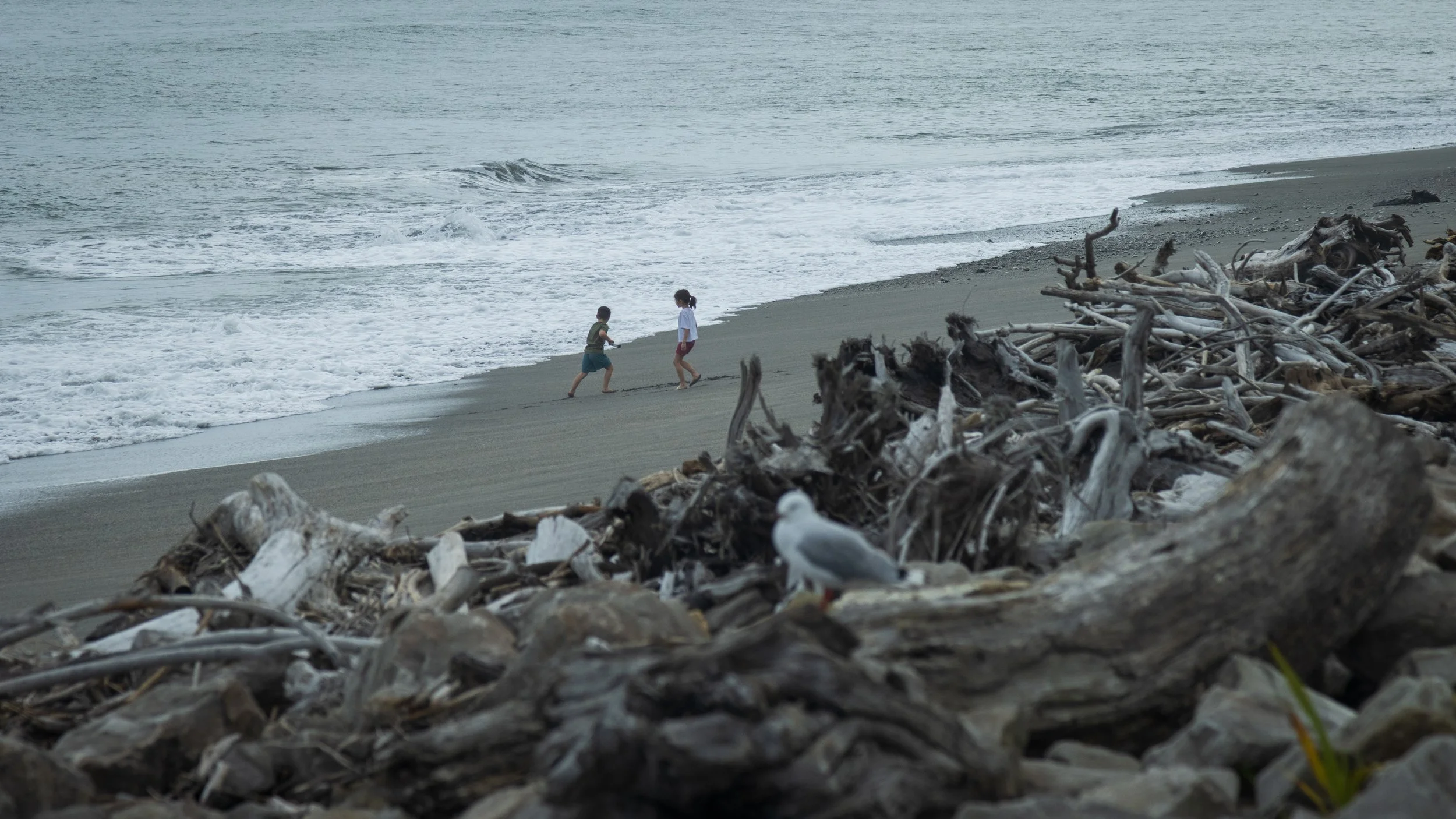 West Coast, New Zealand