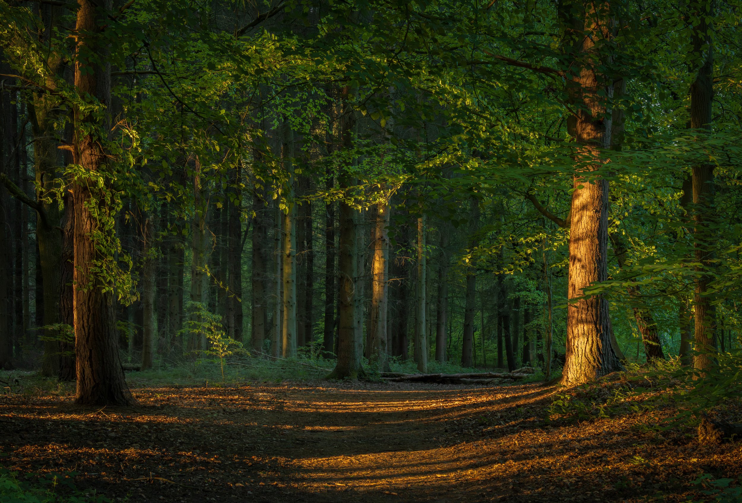"Chasing The Light #2"