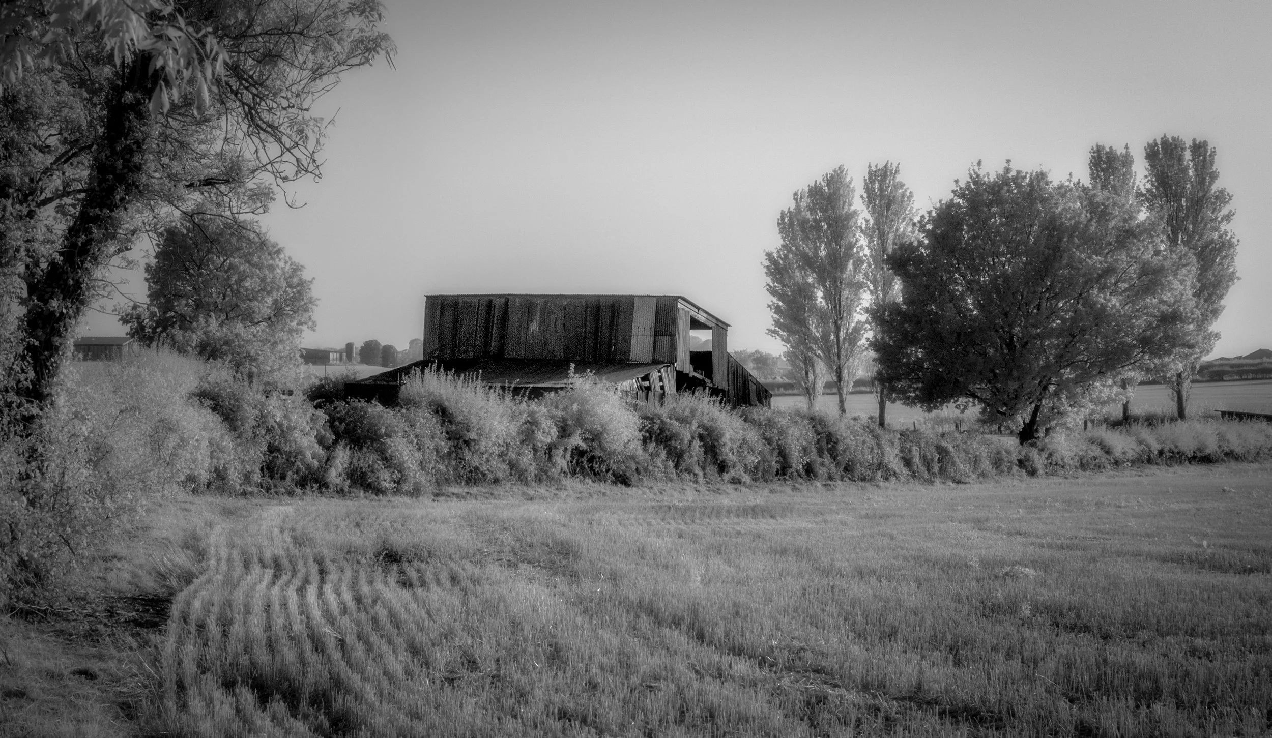 "The Barn"