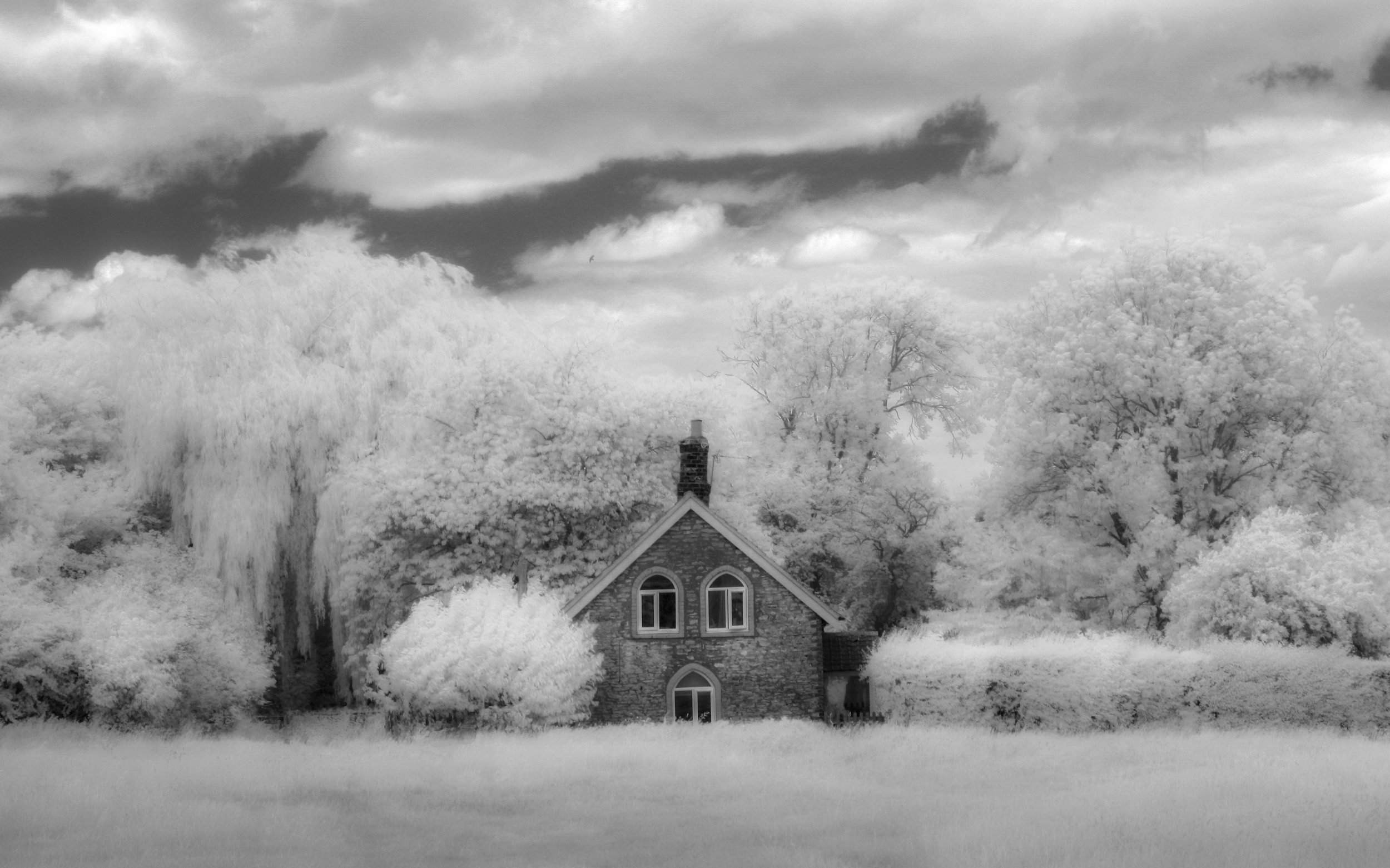 "The Gingerbread House" - BW