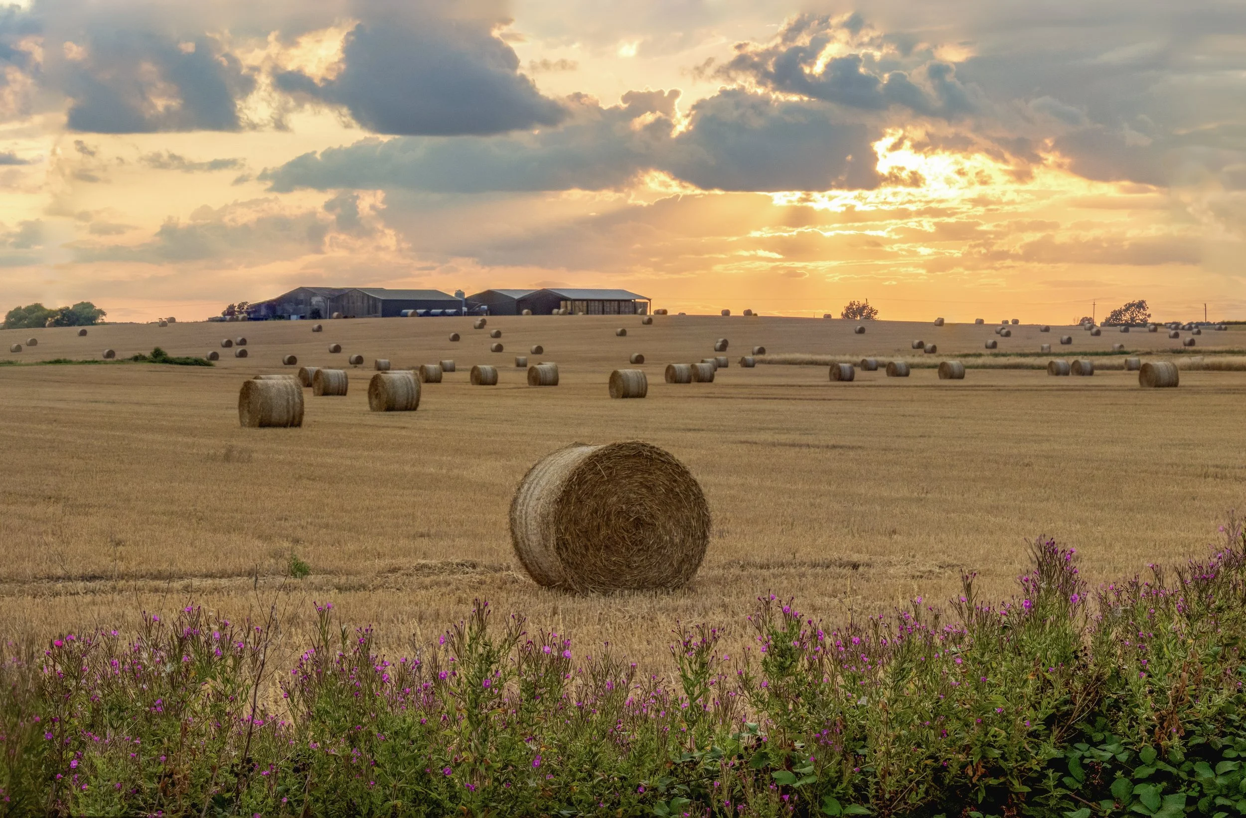 "Grayingham Prairies " #31