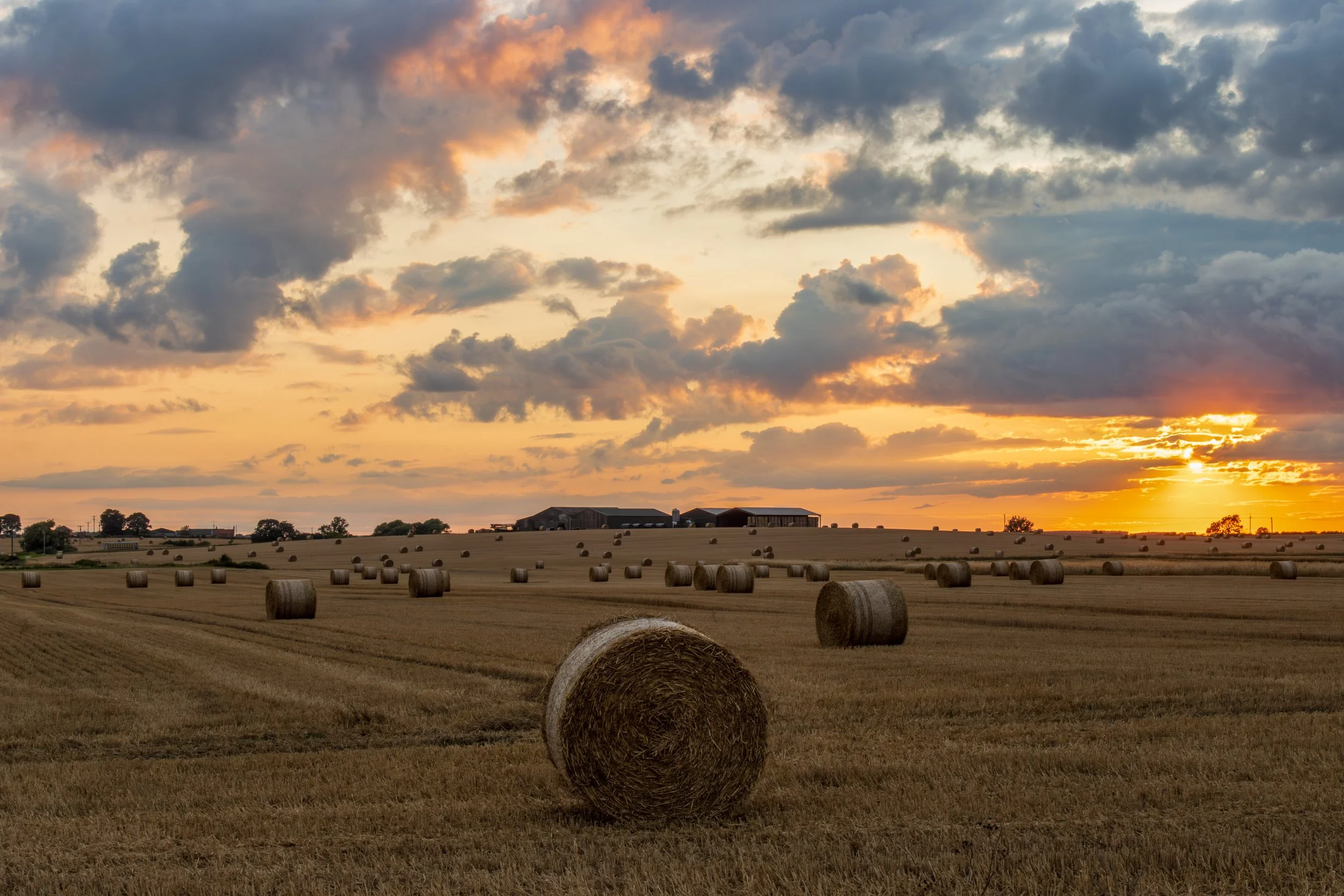 "Grayingham Prairies " #33