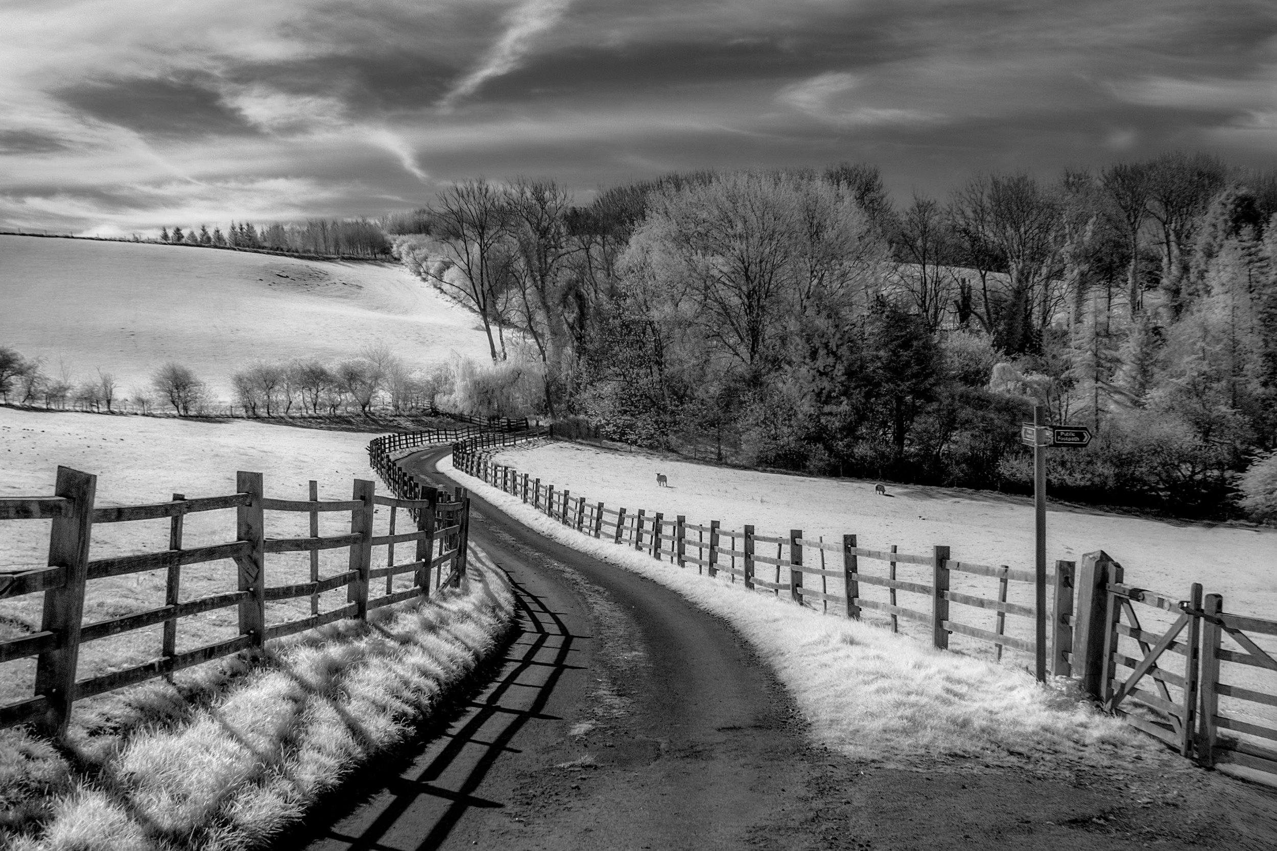 "Lincolnshire Wolds"