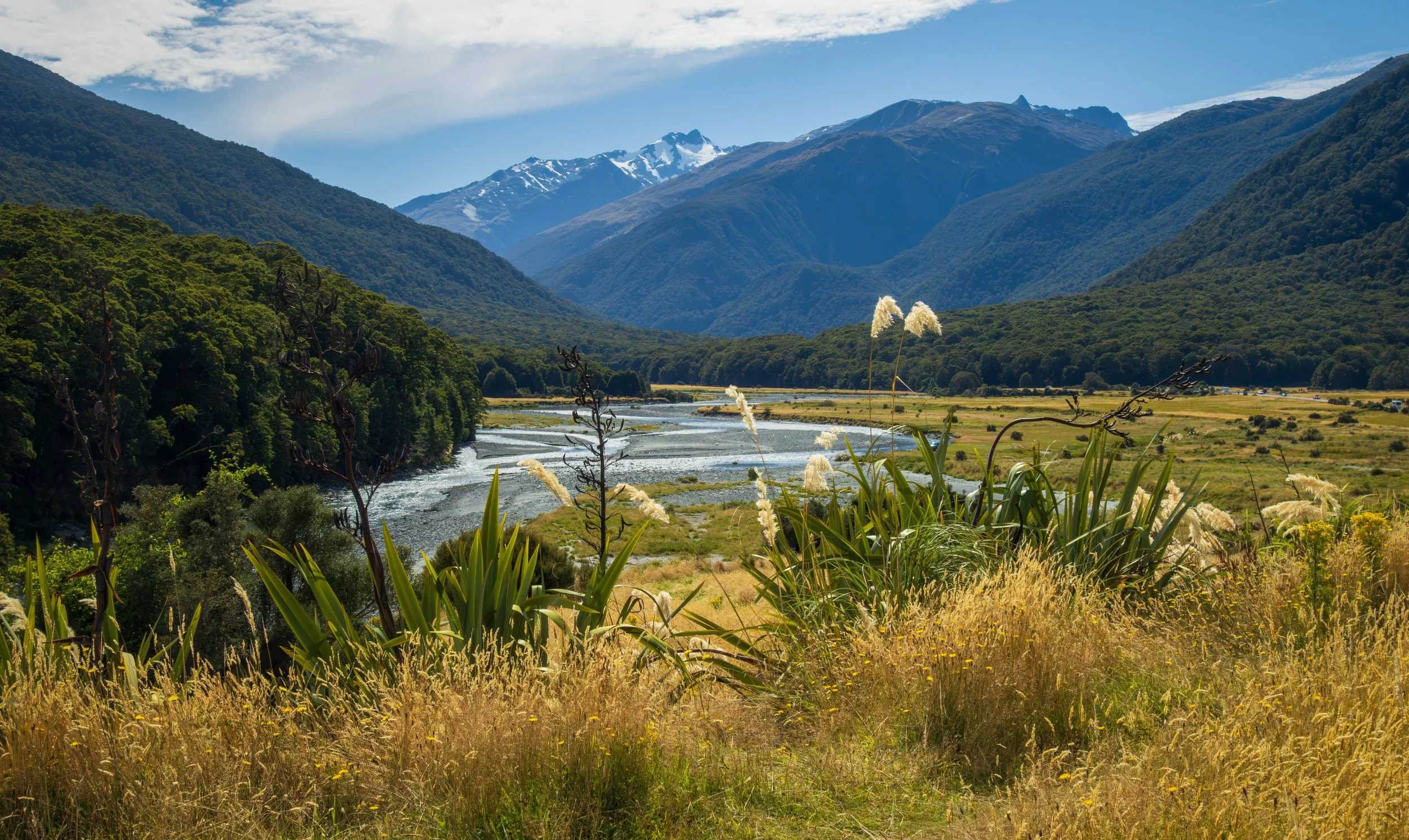 Hasst Valley, West Coast, New Zealand