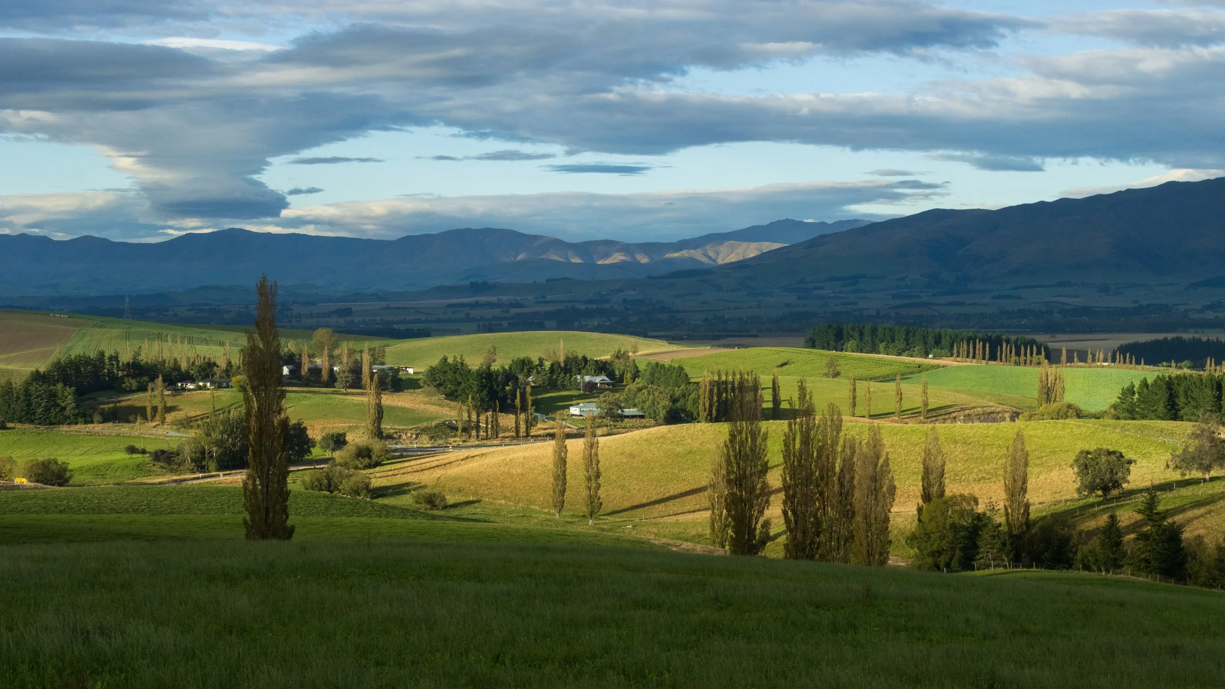 Fairlee/Mckenzie County #1, South Island, New Zealand 