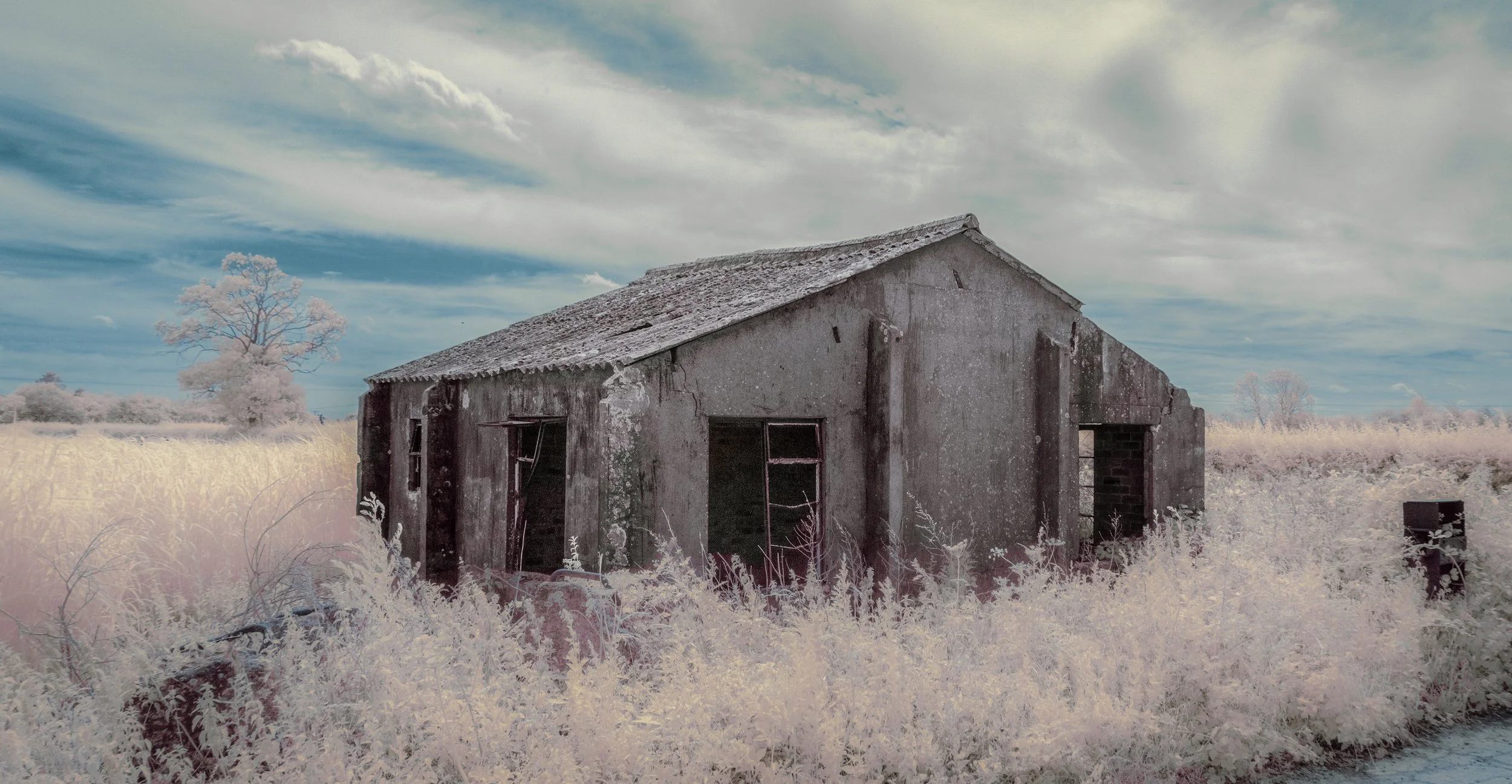 "Gatekeeper" #5