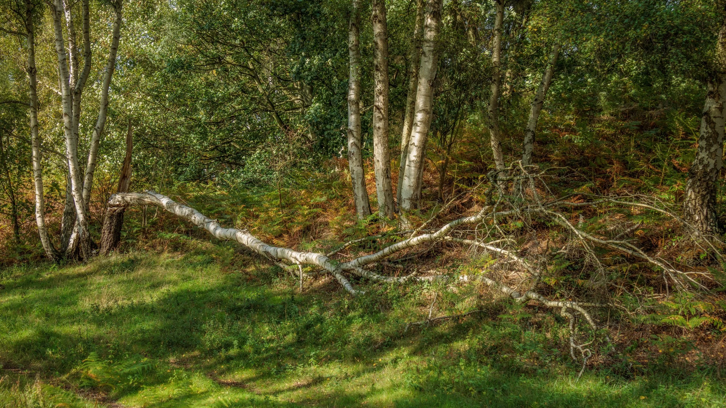 "Fallen Comrade #3"