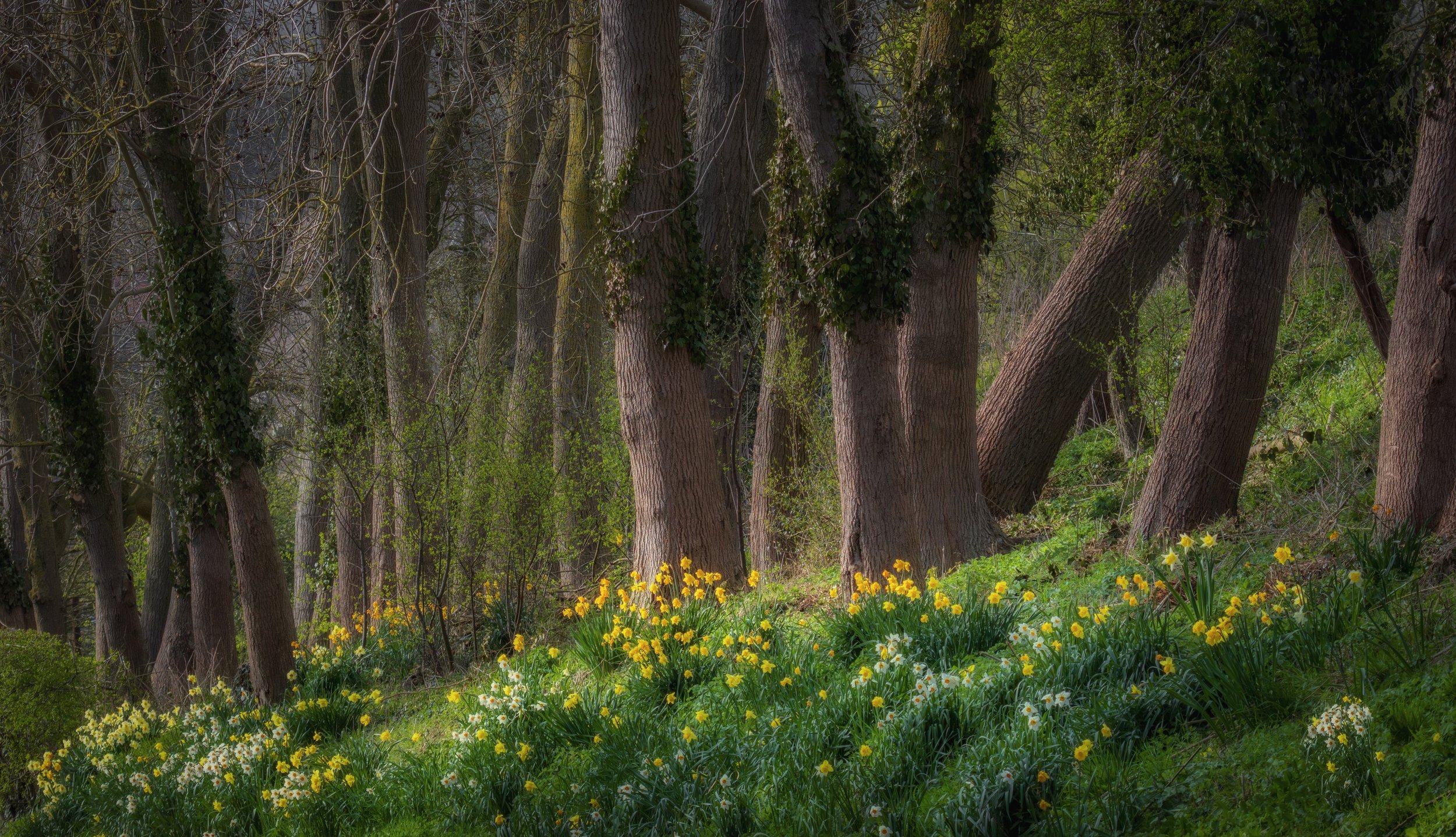 "Willoughton Hill"