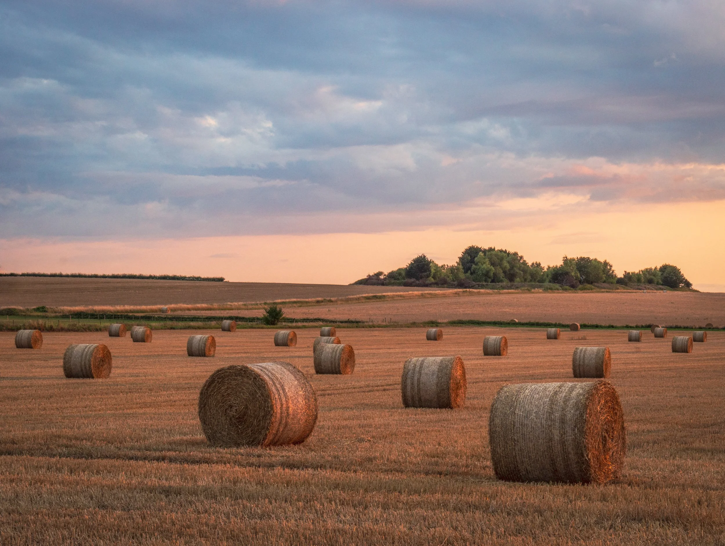 "Grayingham Prairies " #29