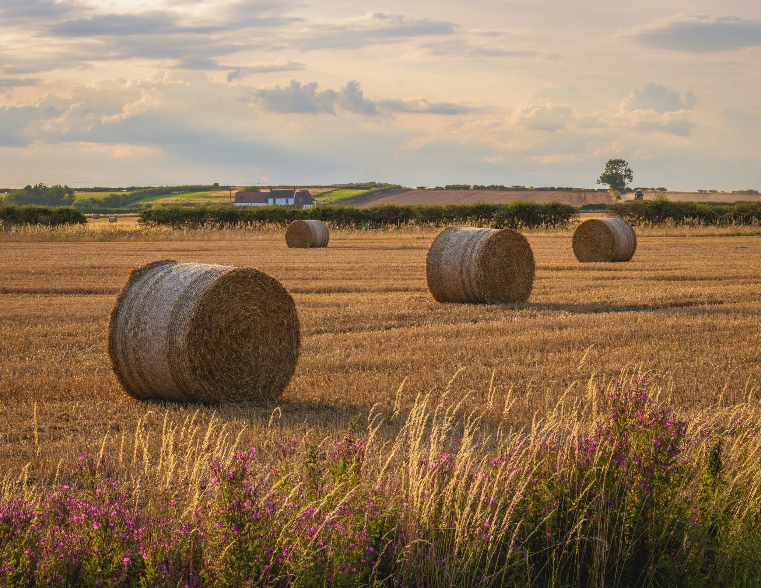 "Grayingham Prairies " #28